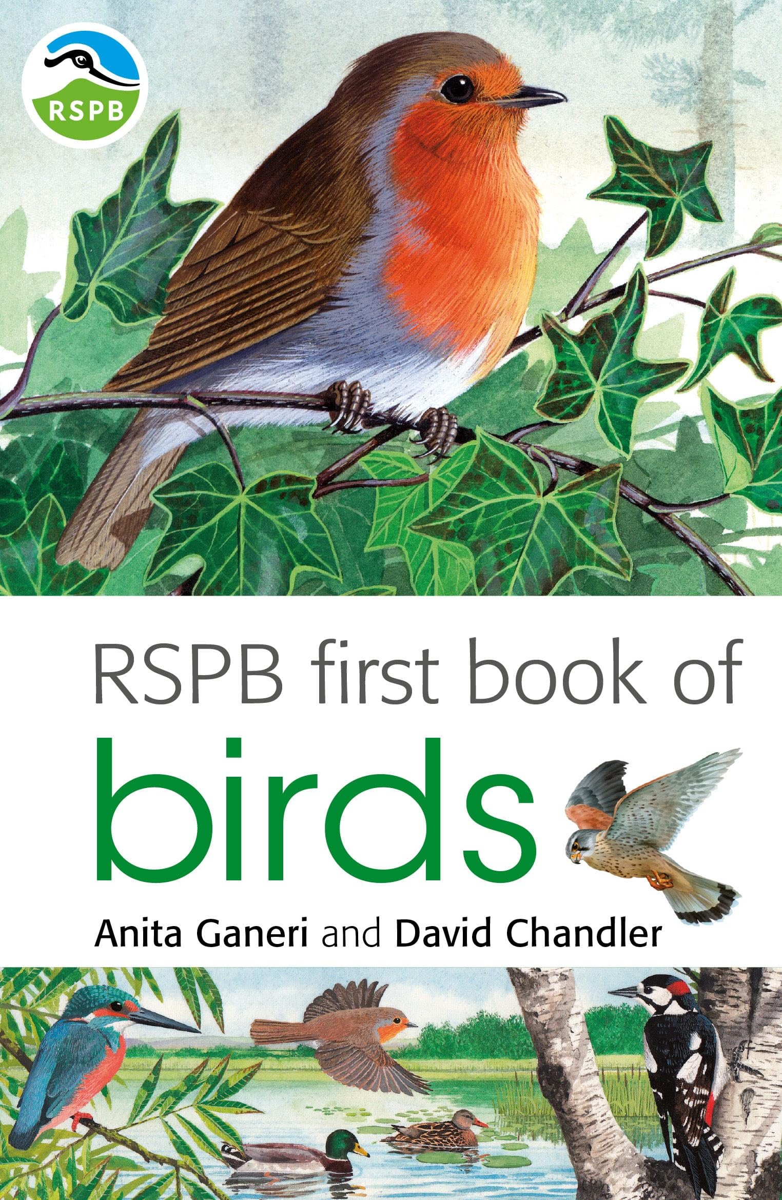 RSPB First Book Of Birds Non-fiction