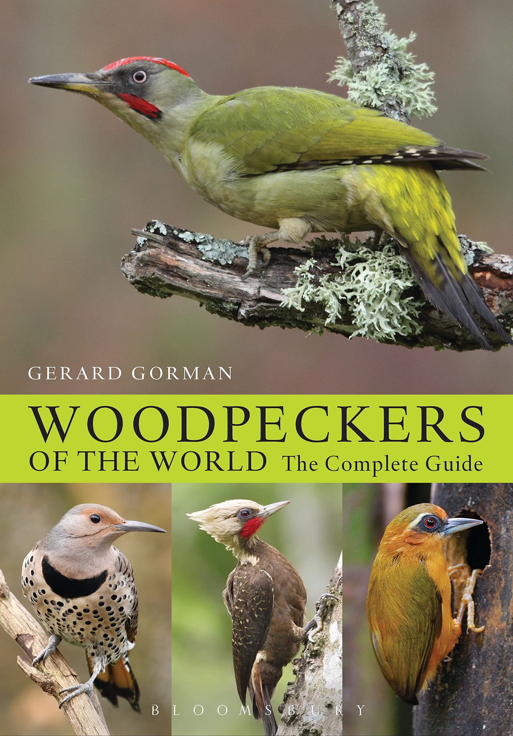 Woodpeckers of the World book