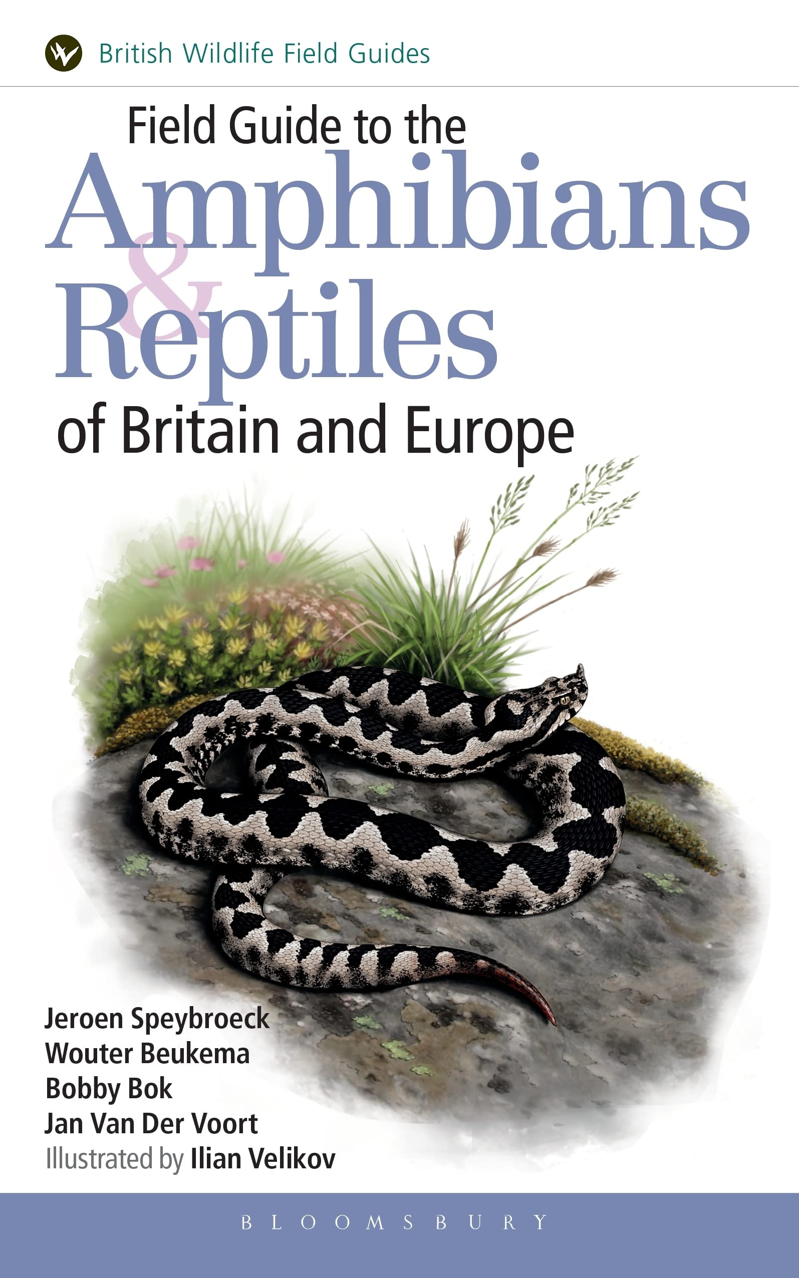 Field Guide to the Amphibians and Reptiles of Britain and Europe (British Wildlife Field Guides) Mathematics