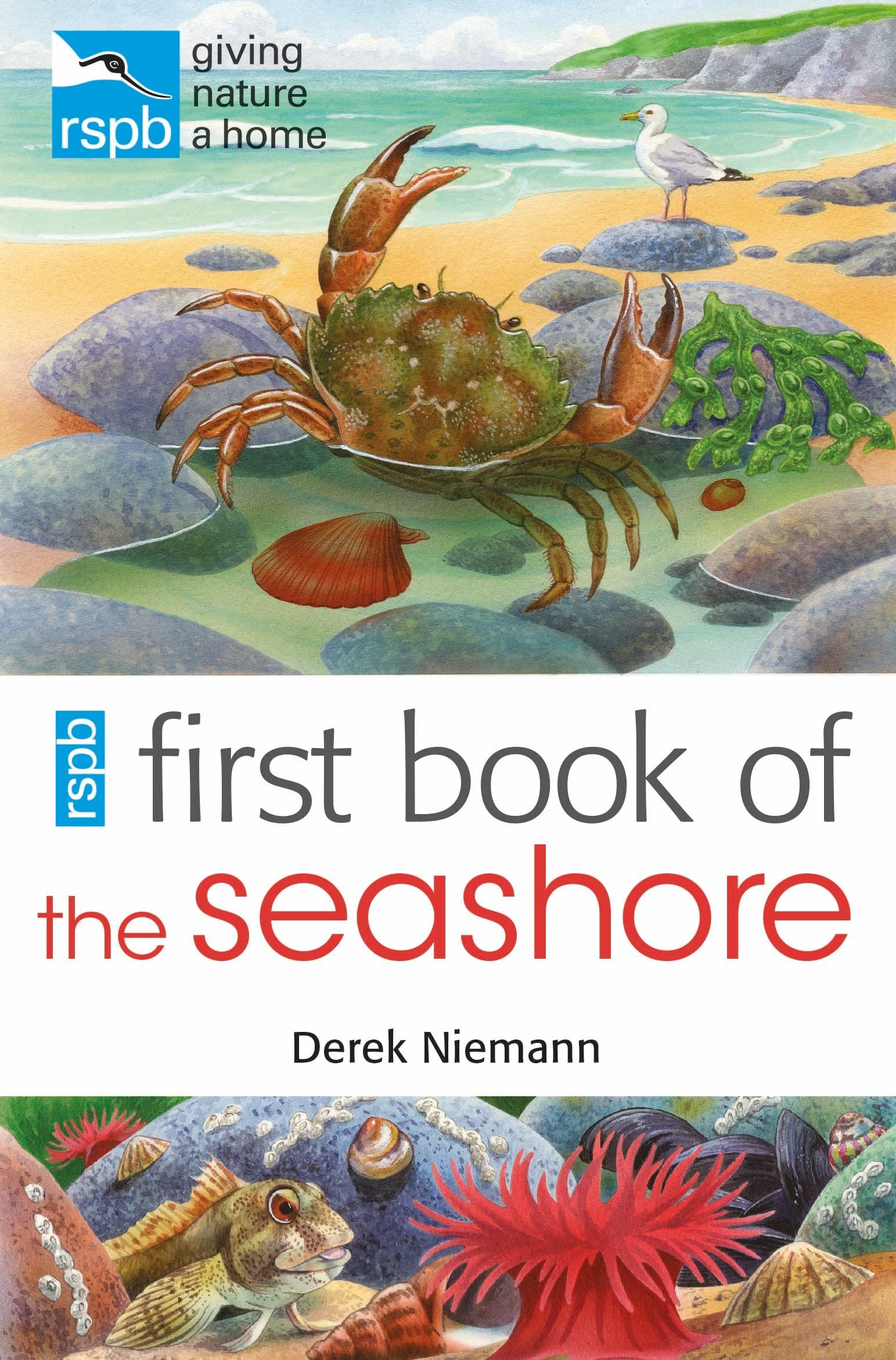 RSPB First Book Of The Seashore Non-fiction