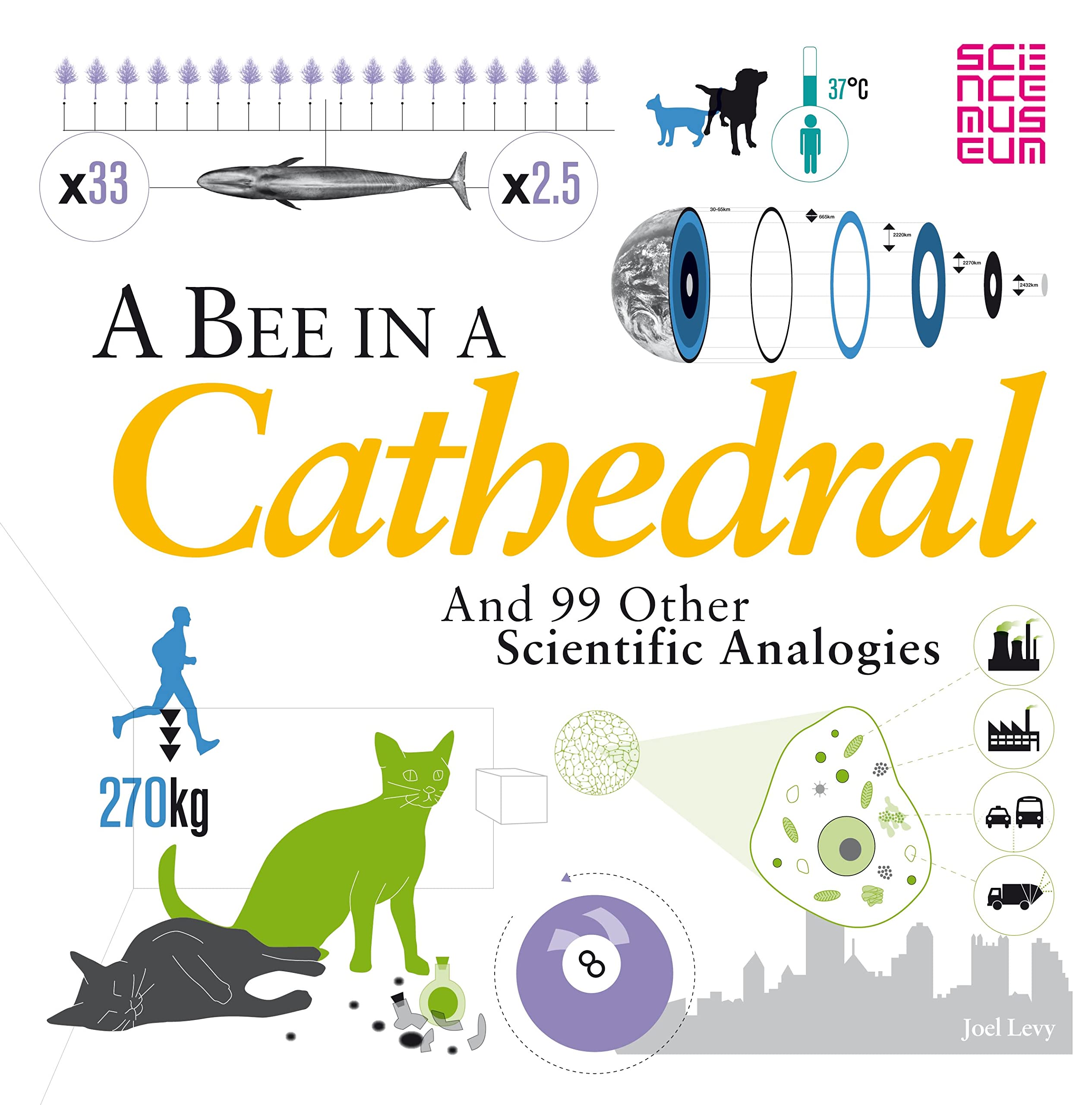 A Bee in a Cathedral: And 99 other scientific analogies book