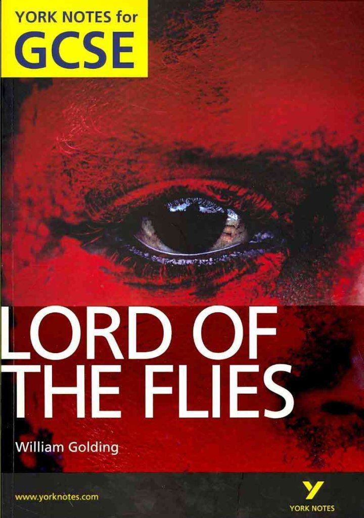 Lord of The Flies: York Notes for GCSE (Grades A*-G) Professional & Reference Books
