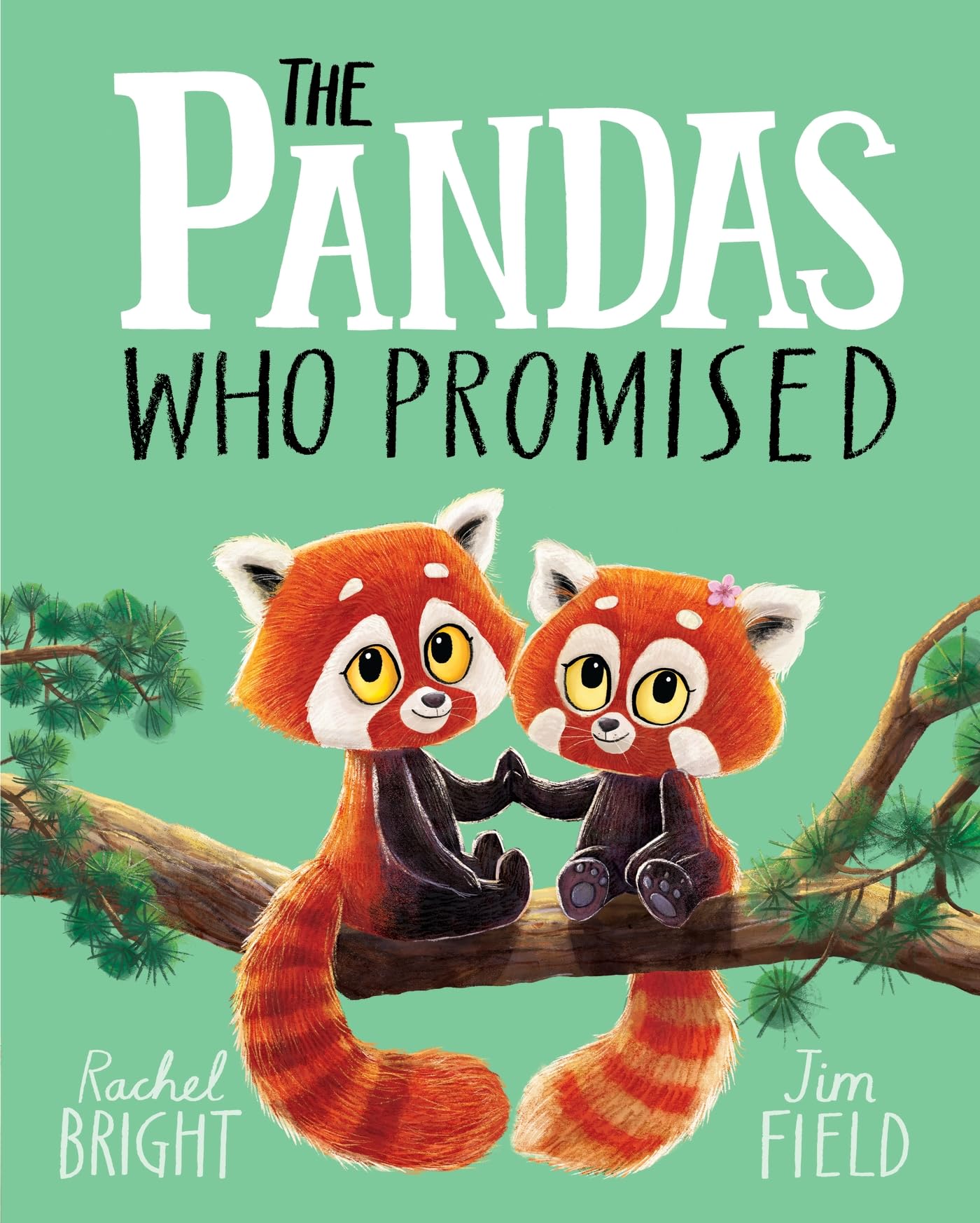 The Pandas Who Promised: From The World of Rachel Bright & Jim Field Non-fiction