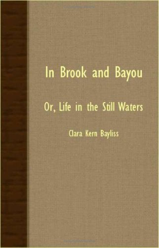 In Brook And Bayou: Or, Life in the Still Waters Business & Technology