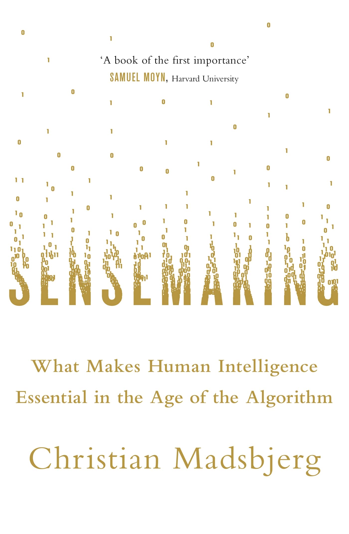 Product Image: Sensemaking: What Makes Human Intelligence Essential in the Age of the Algorithm