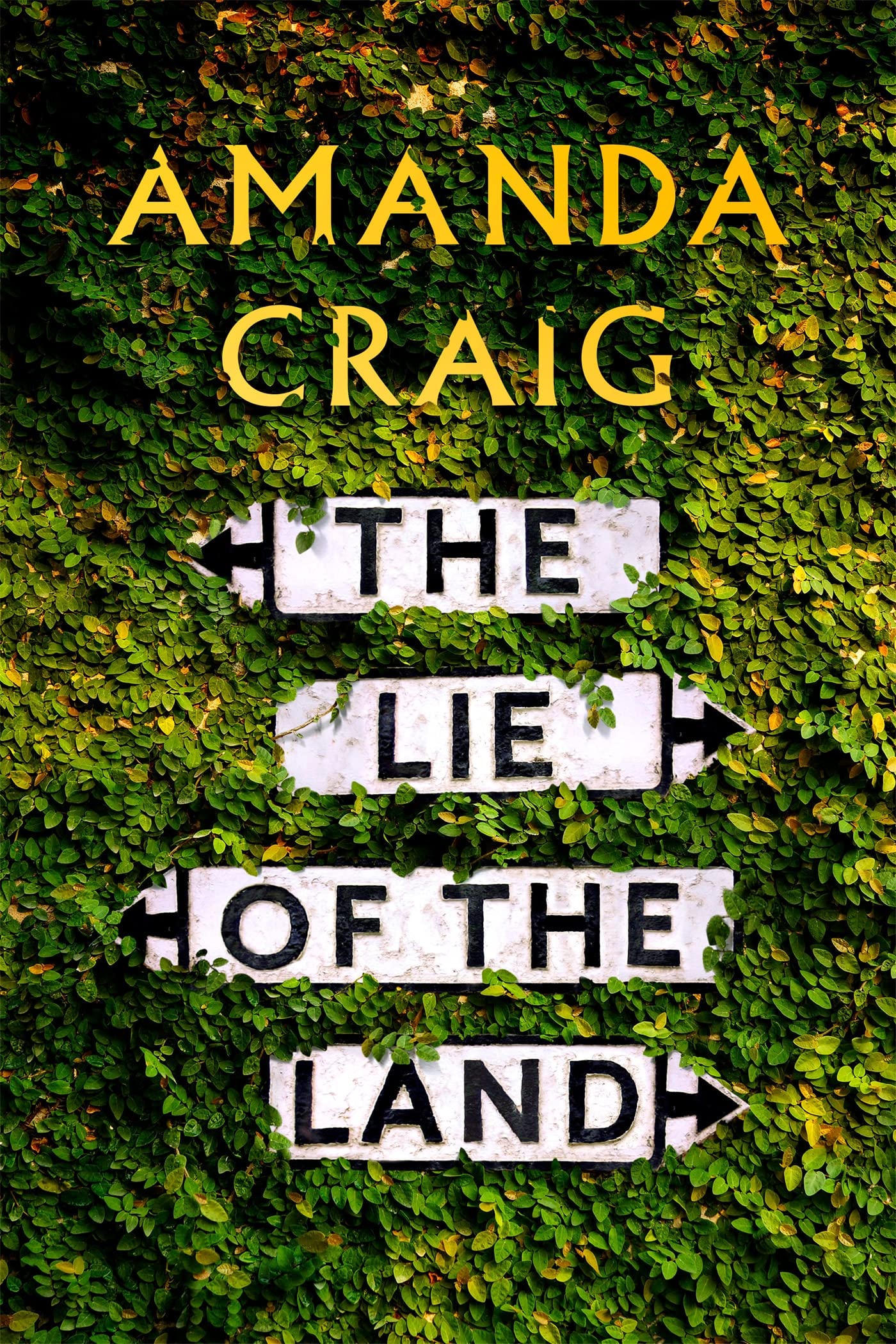 The Lie of the Land: ‘A very good read indeed' Matt Haig Contemporary literature