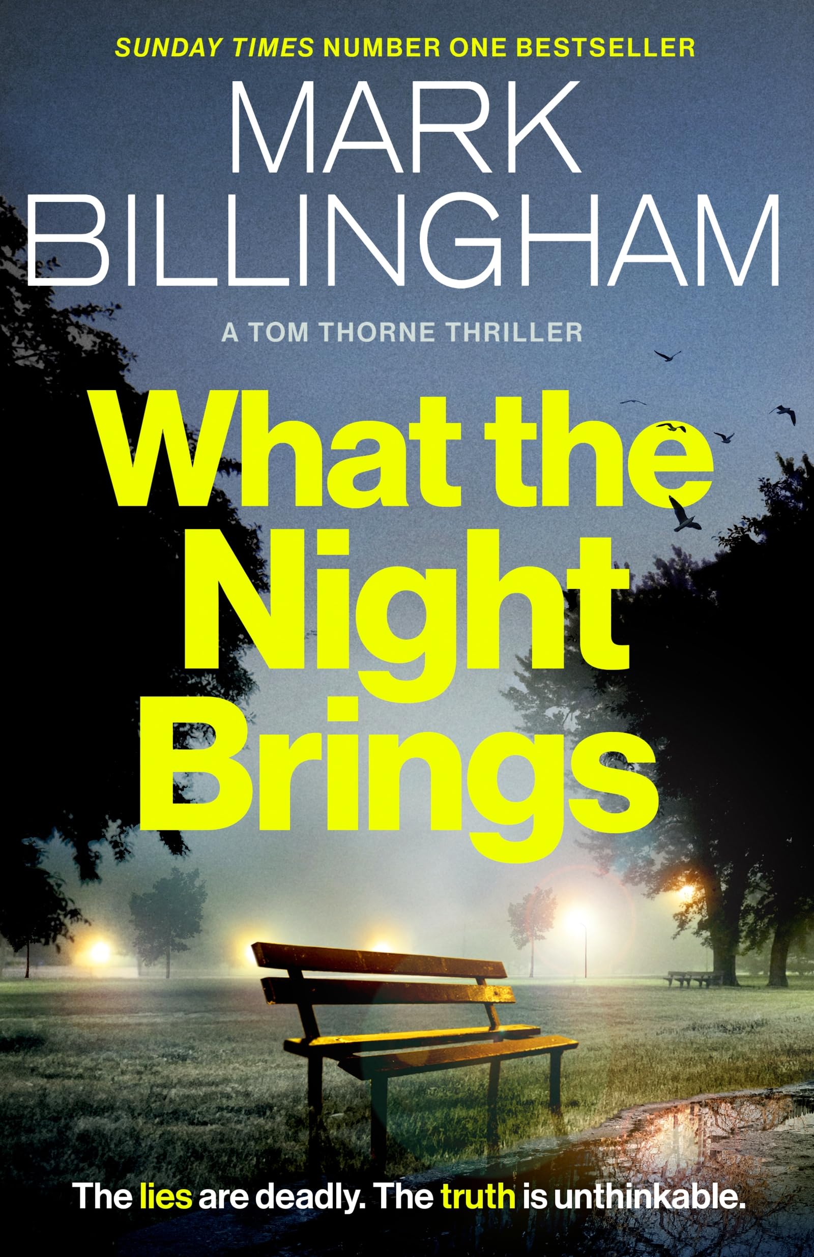 What the Night Brings Contemporary literature Books