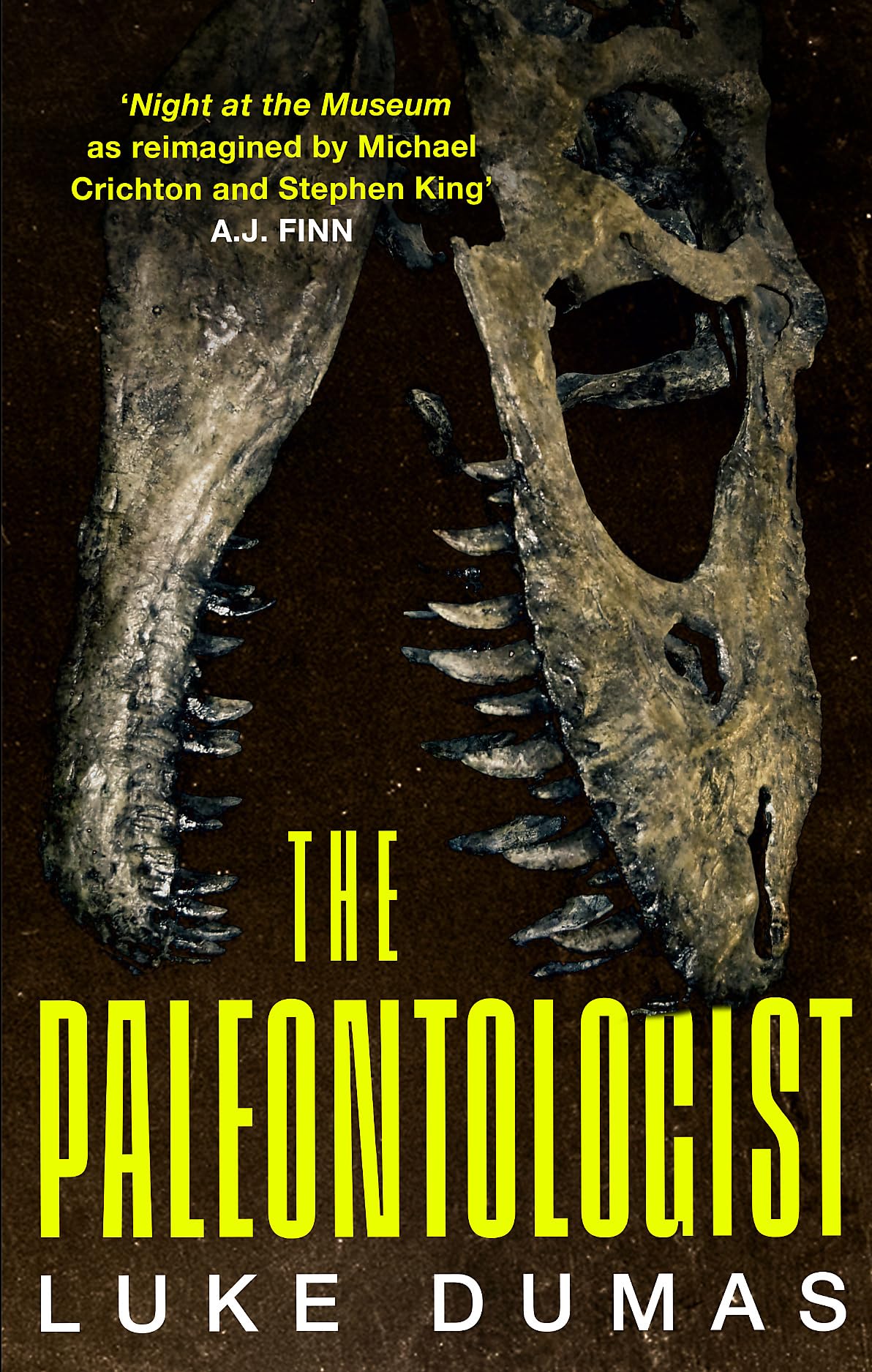 Product Image: The Paleontologist
