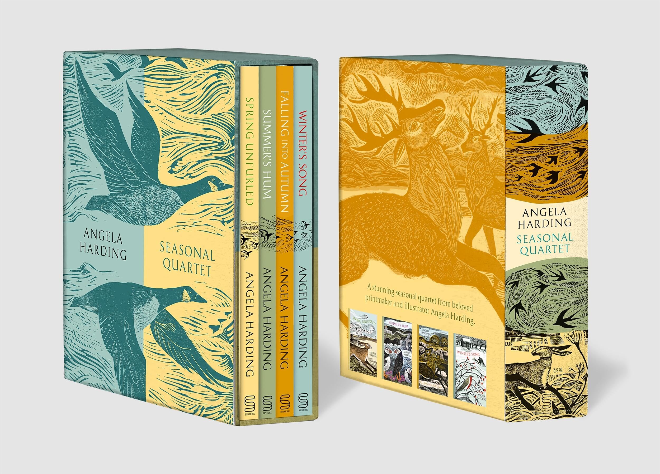 Angela Harding Seasonal Quartet Boxset: Includes Spring Unfurled, Summer’s Hum, Falling into Autumn and Winter’s Song Geology & Geography