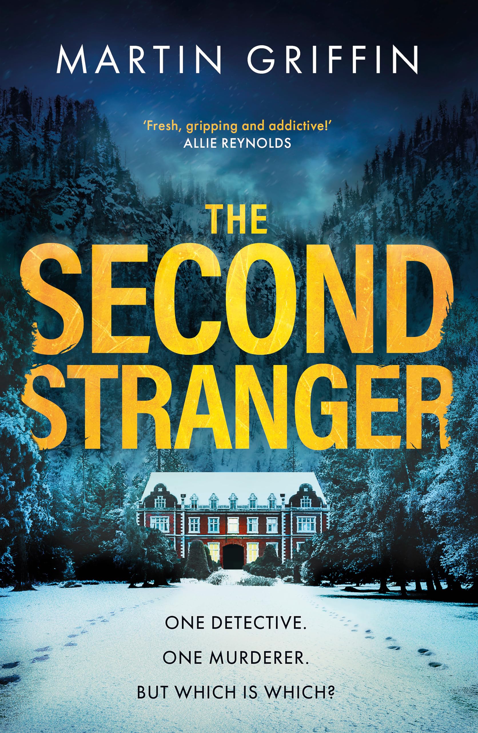 The Second Stranger: One detective. One murderer. But which is which? Action & Adventure