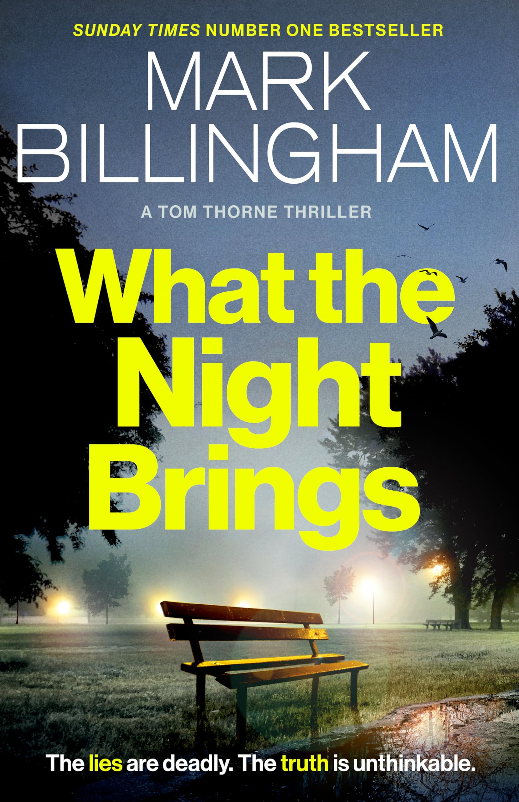 What the Night Brings Contemporary literature Books