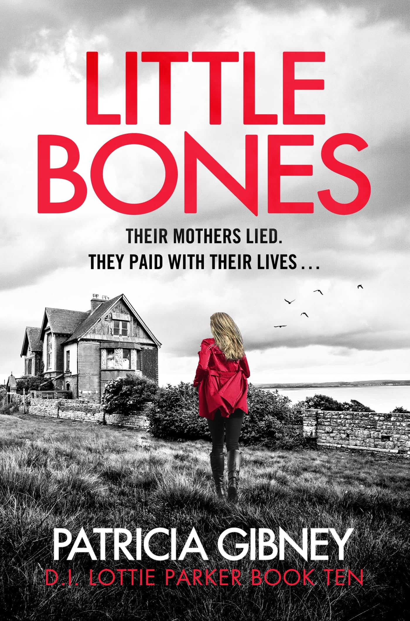 Little Bones (Detective Lottie Parker) Contemporary literature