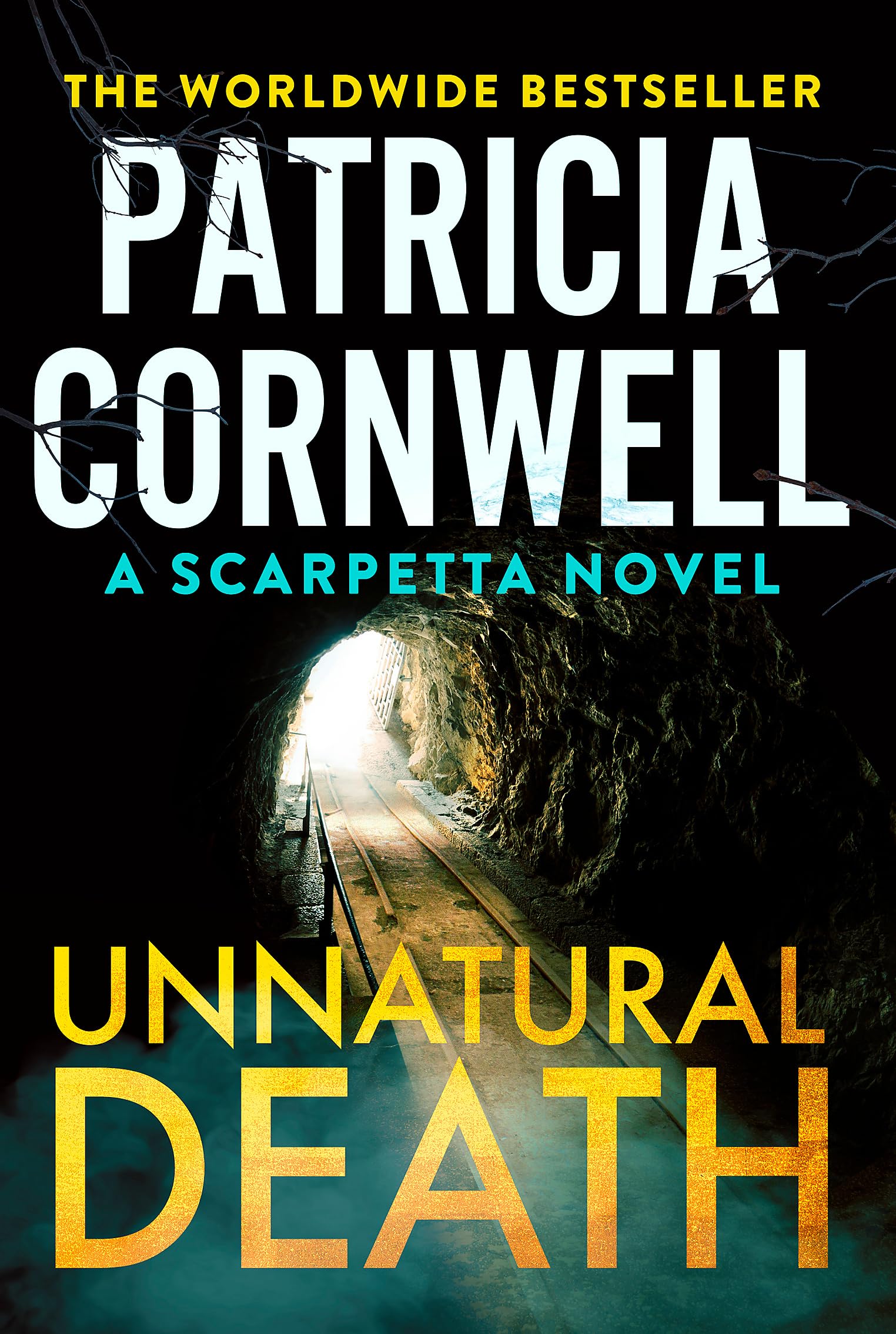 Unnatural Death: The rollercoaster new Kay Scarpetta thriller Social Sciences