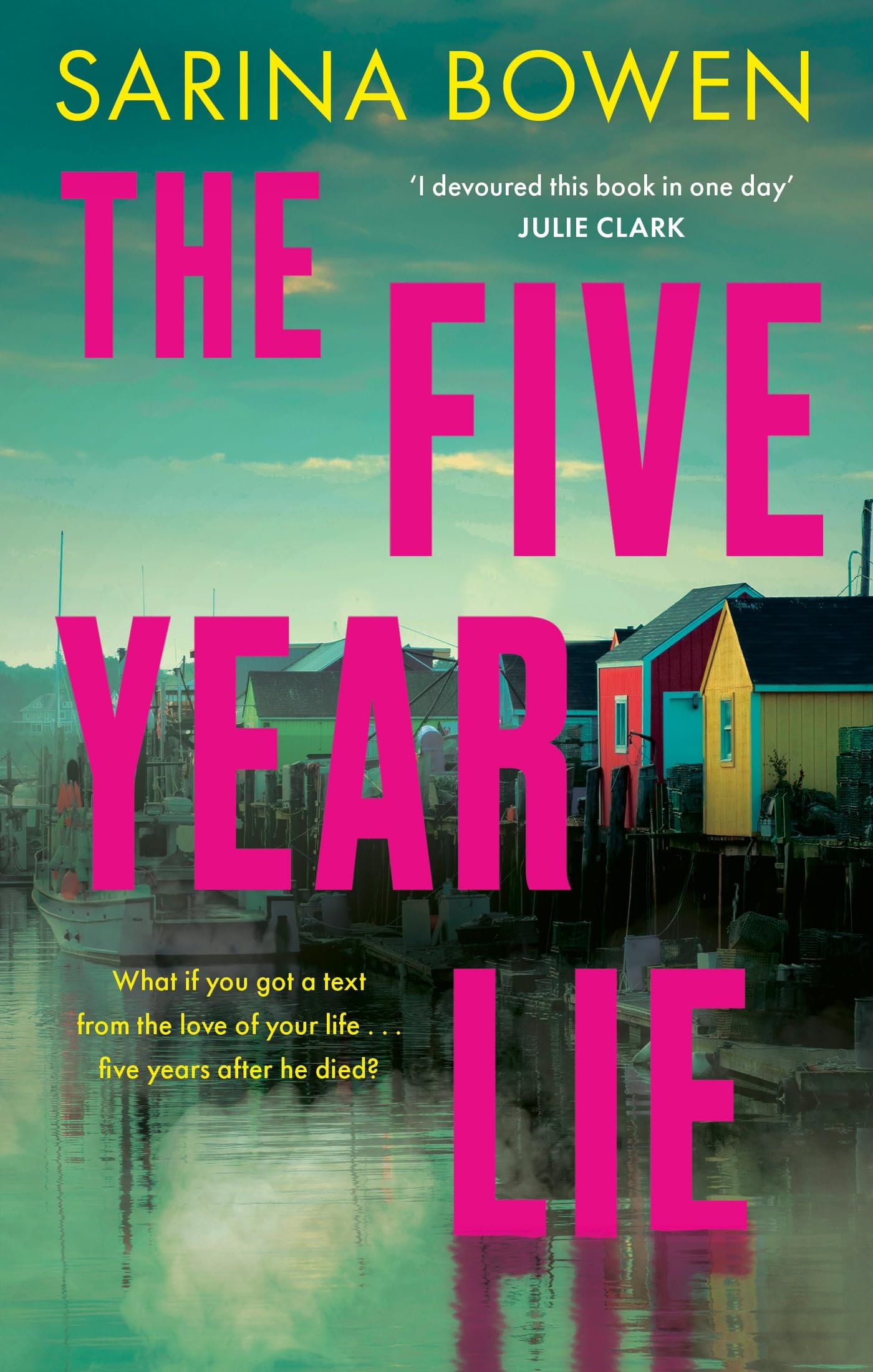 The Five Year Lie Contemporary literature Books
