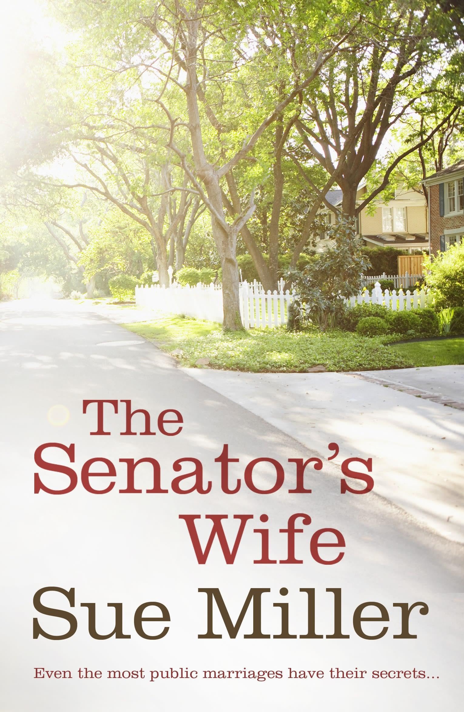 The Senator's Wife Contemporary literature Books