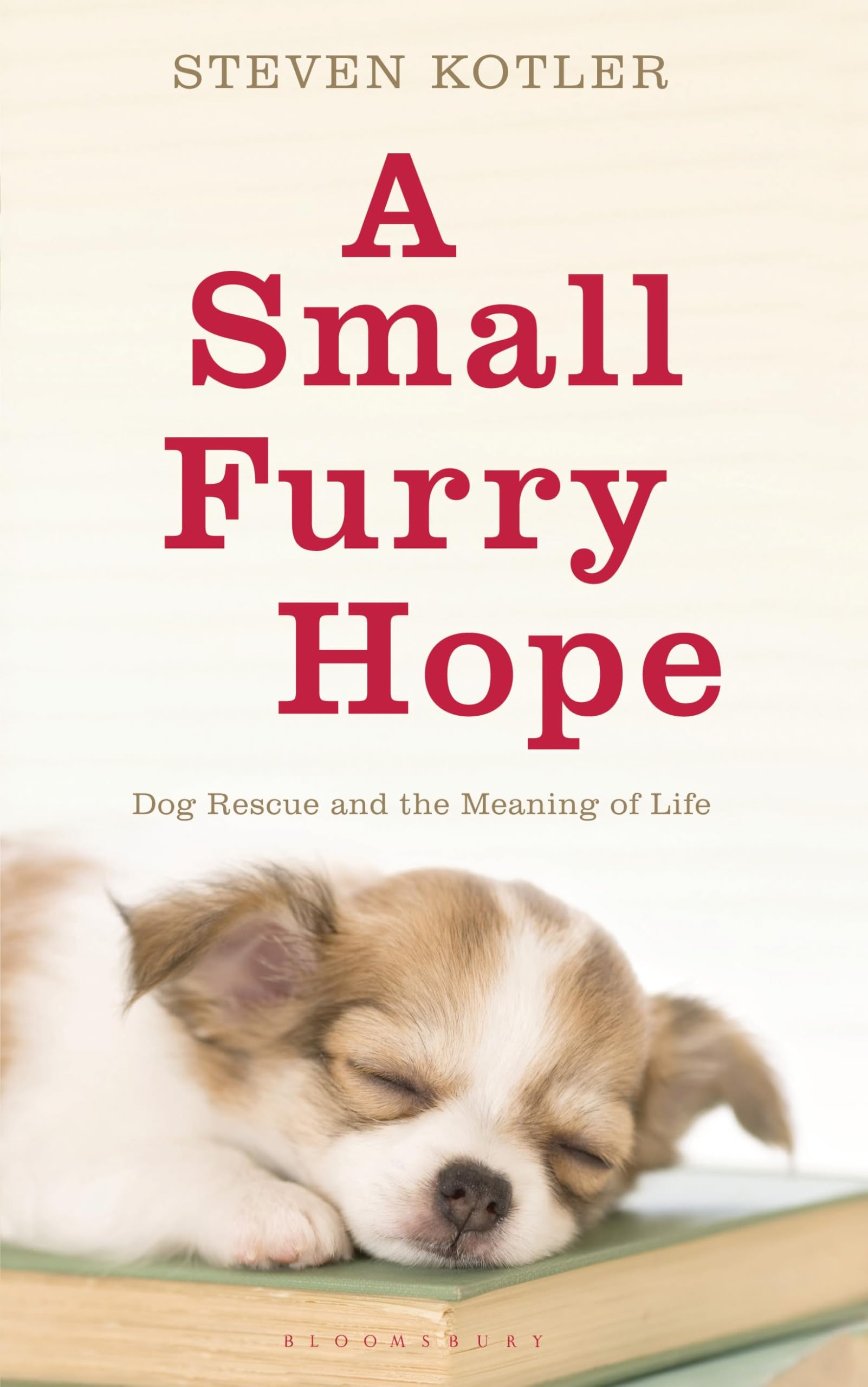 A Small Furry Prayer: Dog Rescue and the Meaning of Life Memories