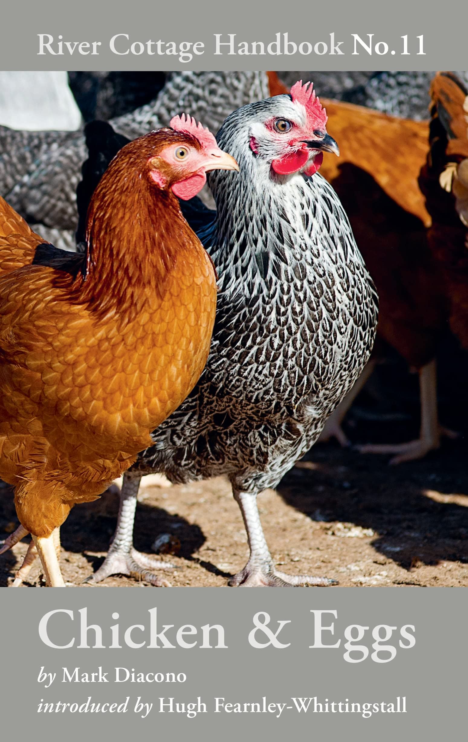 Chicken & Eggs: River Cottage Handbook No.11 Mathematics