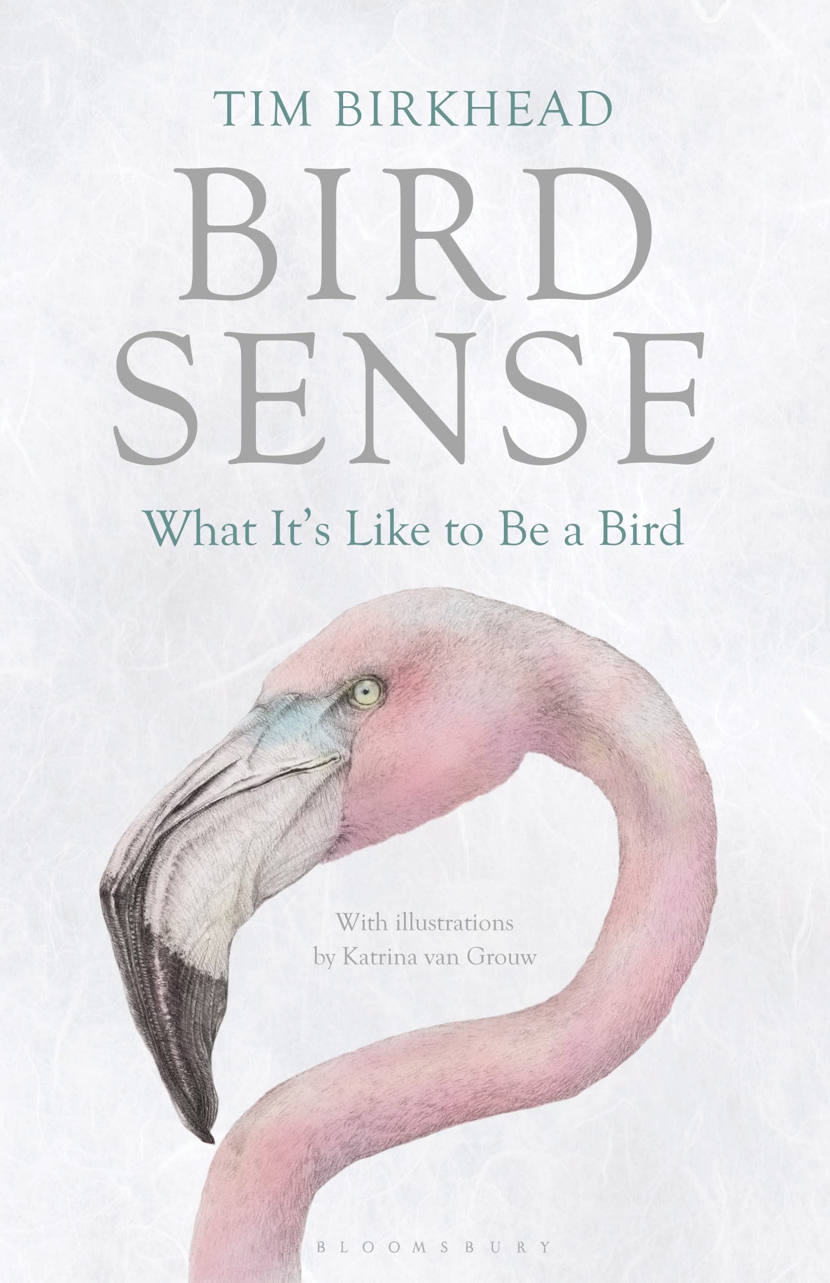 Bird Sense: What It's Like to Be a Bird Leisure, Home & Garden