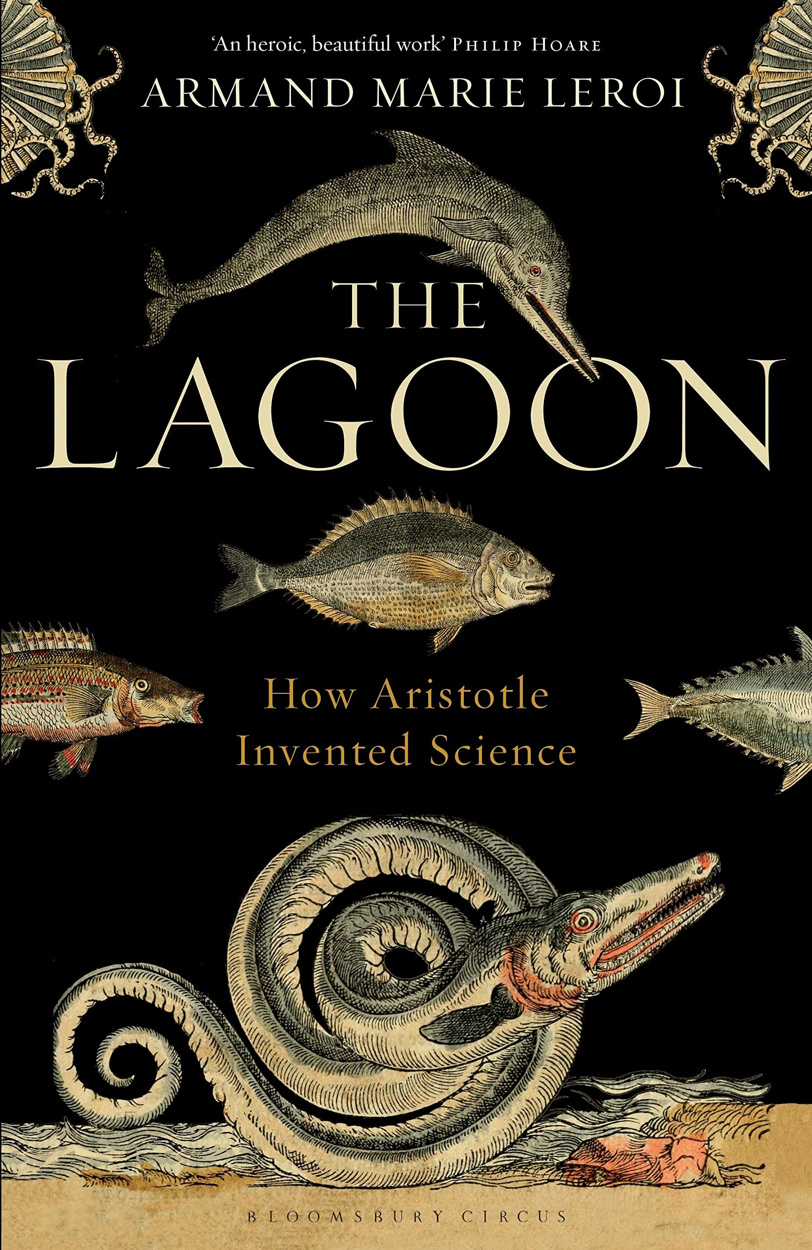 The Lagoon: How Aristotle Invented Science book