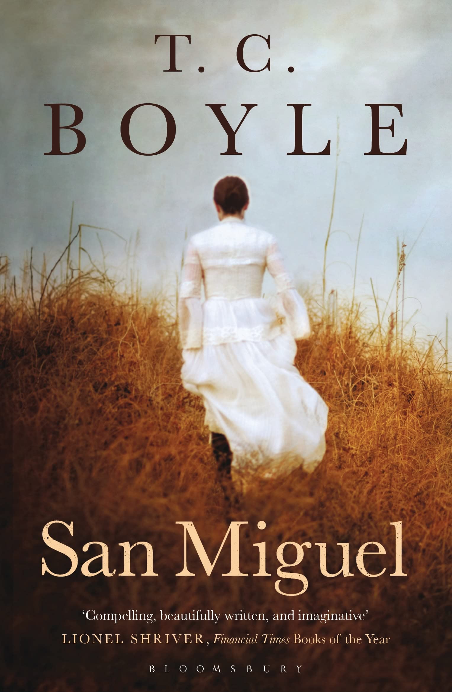 San Miguel Contemporary literature Books
