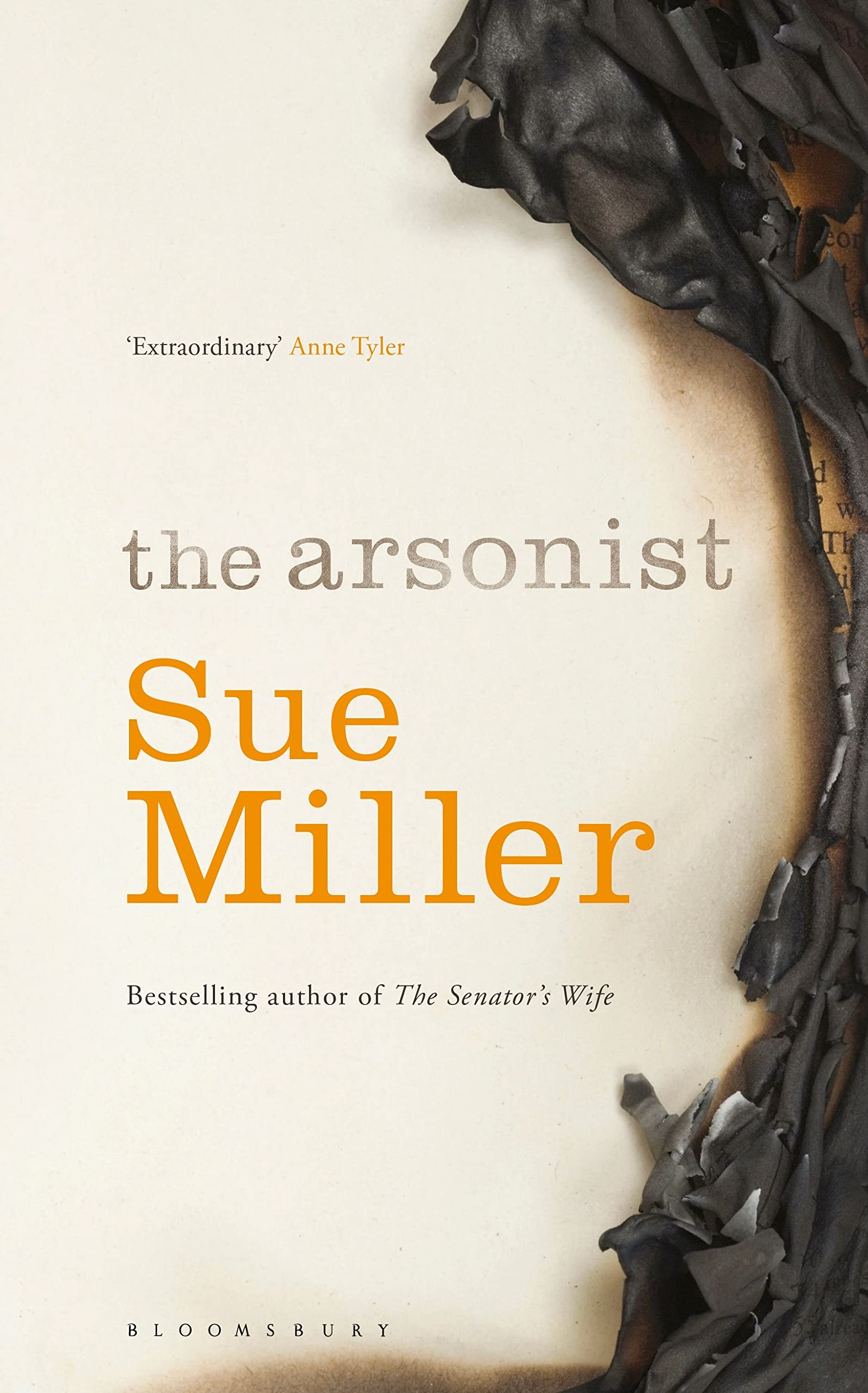 The Arsonist: The brilliant novel from the bestselling author of Monogamy Contemporary literature