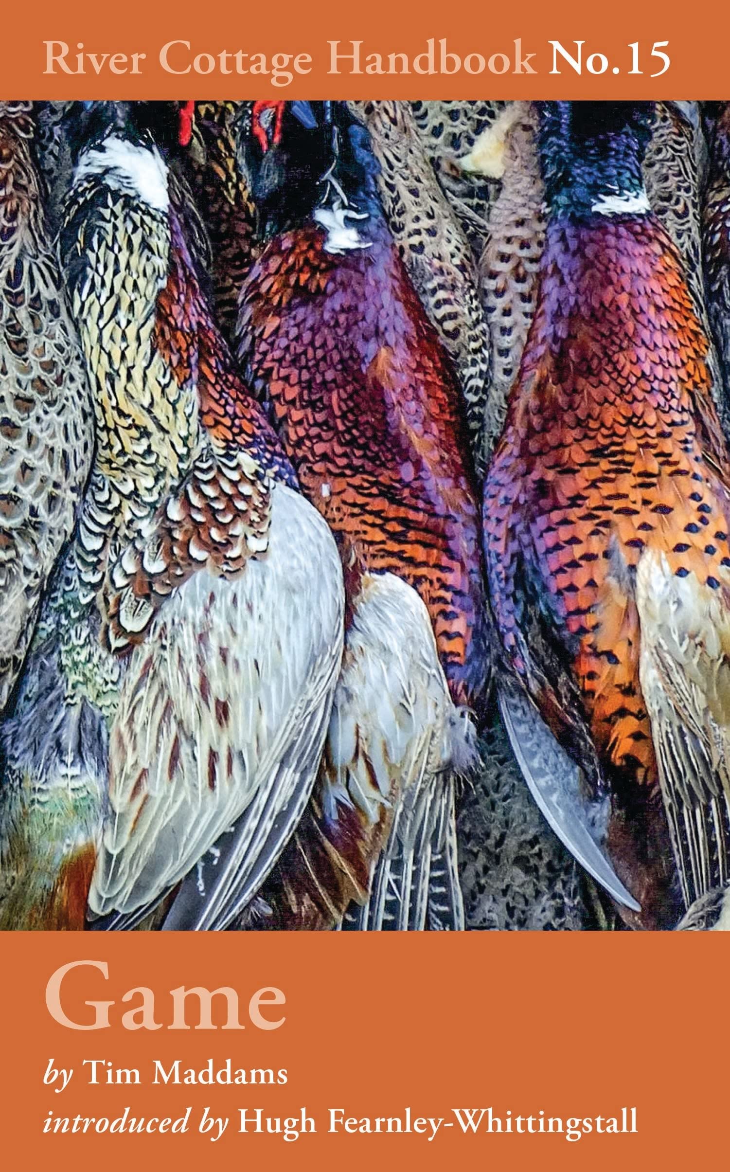Game Leisure, Home & Garden