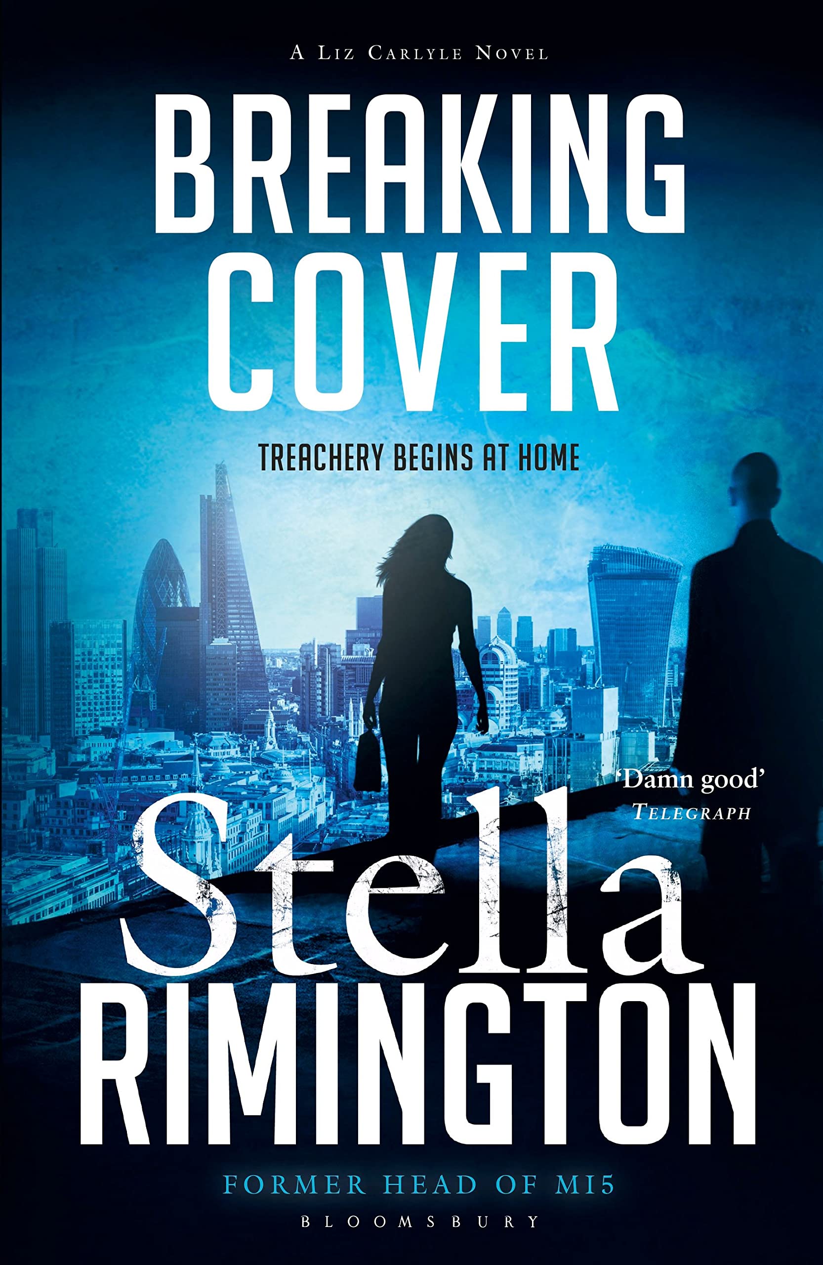 Breaking Cover (A Liz Carlyle Thriller, Band 9) Contemporary literature