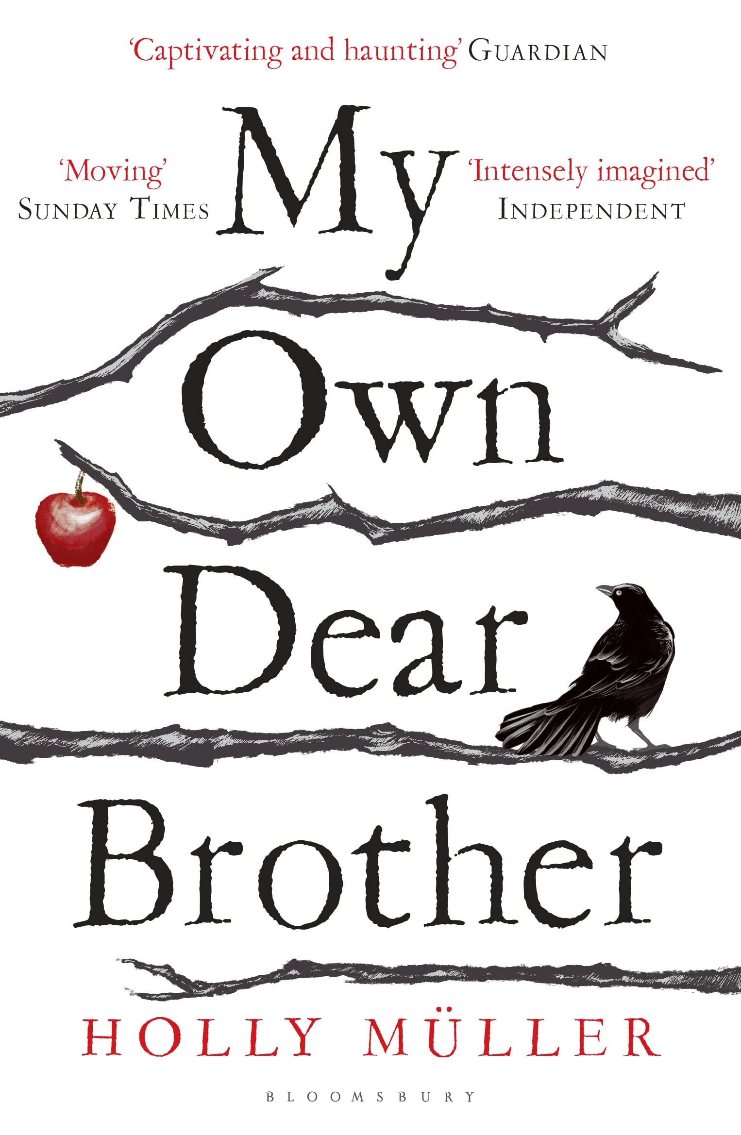 Muller, H: My Own Dear Brother Contemporary literature