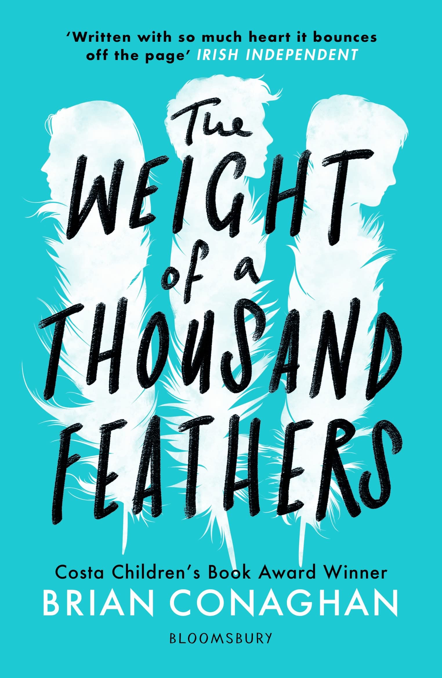 The Weight of a Thousand Feathers Contemporary literature