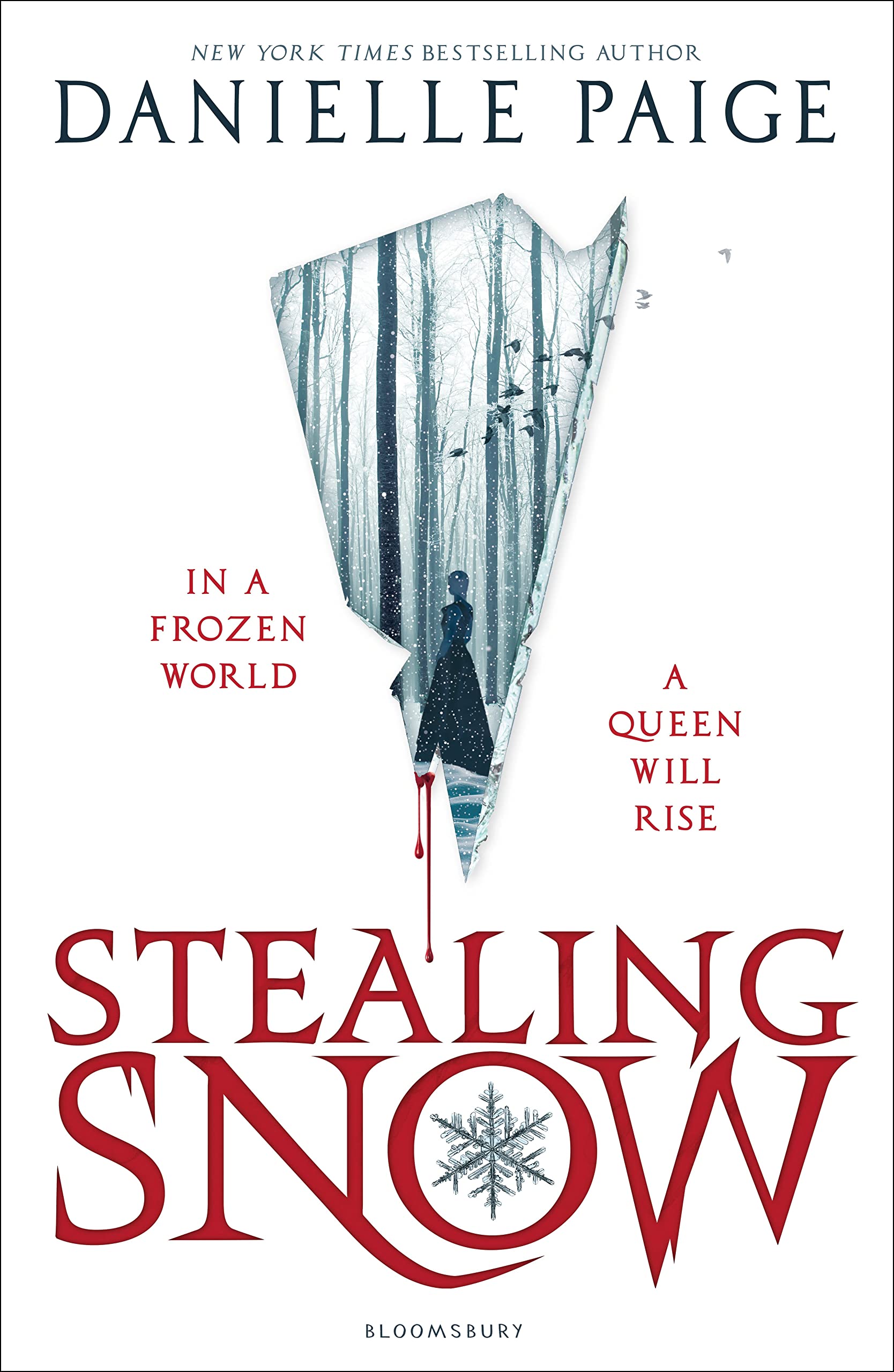 Stealing Snow Fiction books for children
