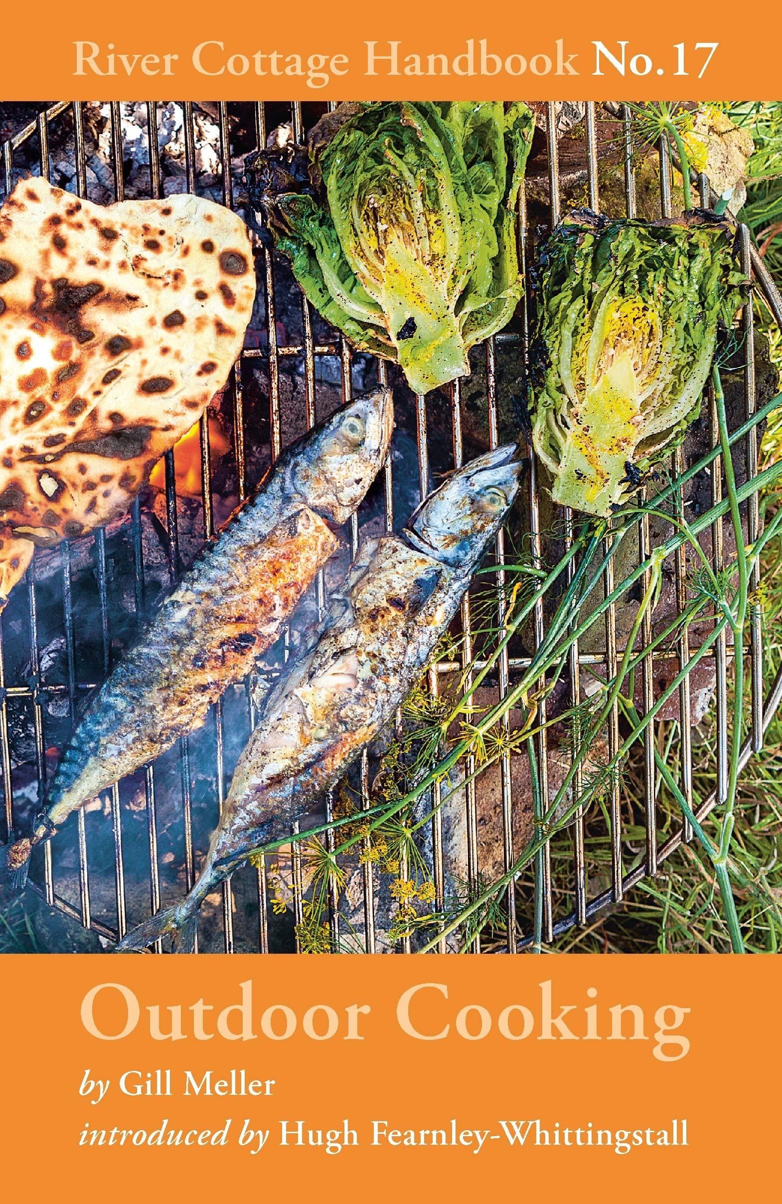 Outdoor Cooking: River Cottage Handbook No.17 Mathematics