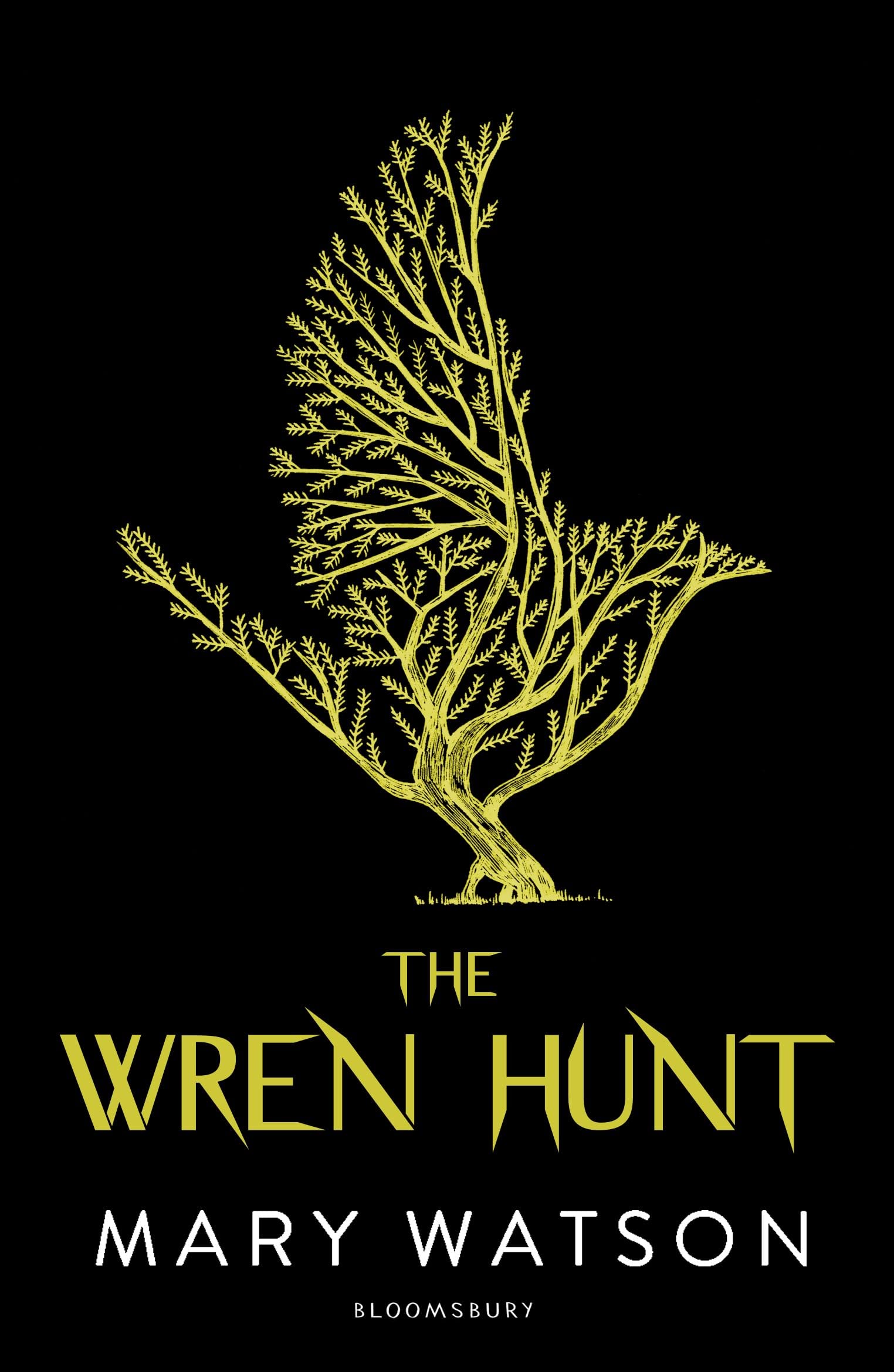 The Wren Hunt Contemporary literature Books