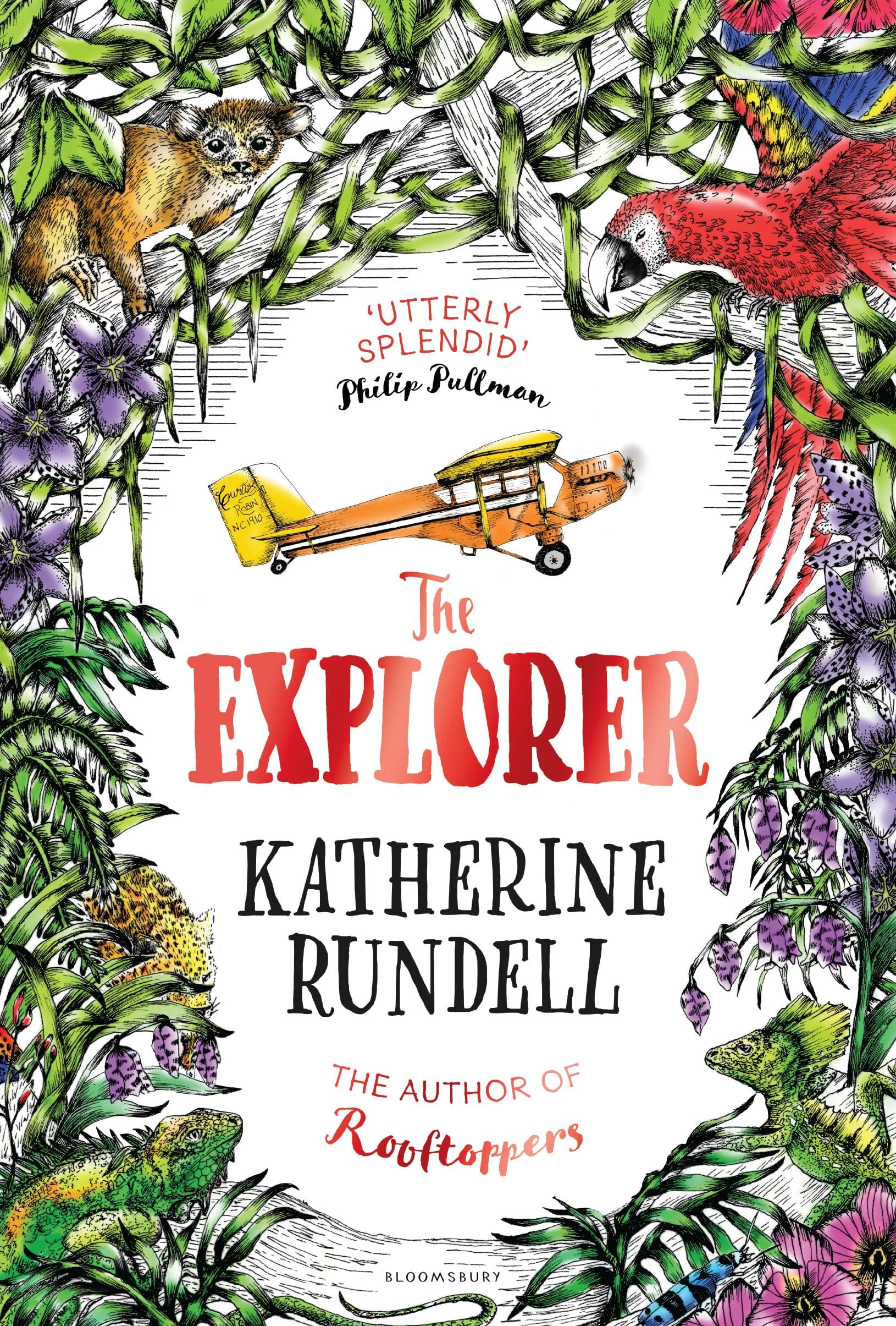 The Explorer: From the author of the internationally bestselling phenomenon Impossible Creatures book