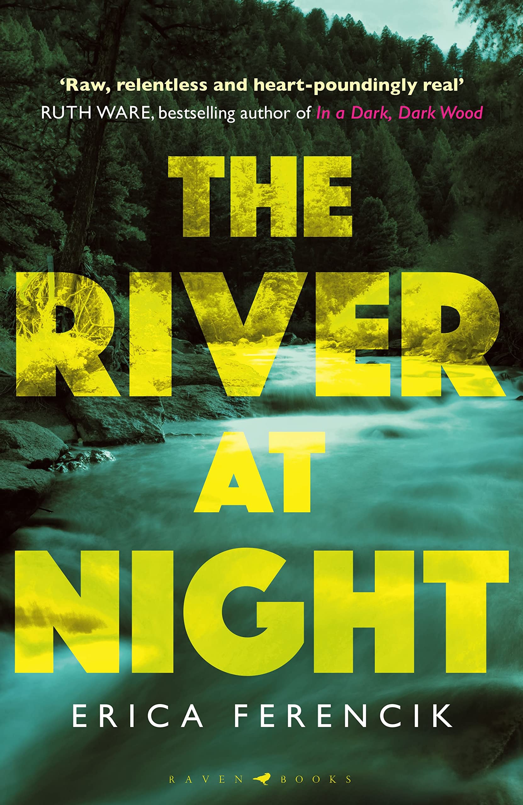 The River at Night: A Taut and Gripping Thriller Action & Adventure