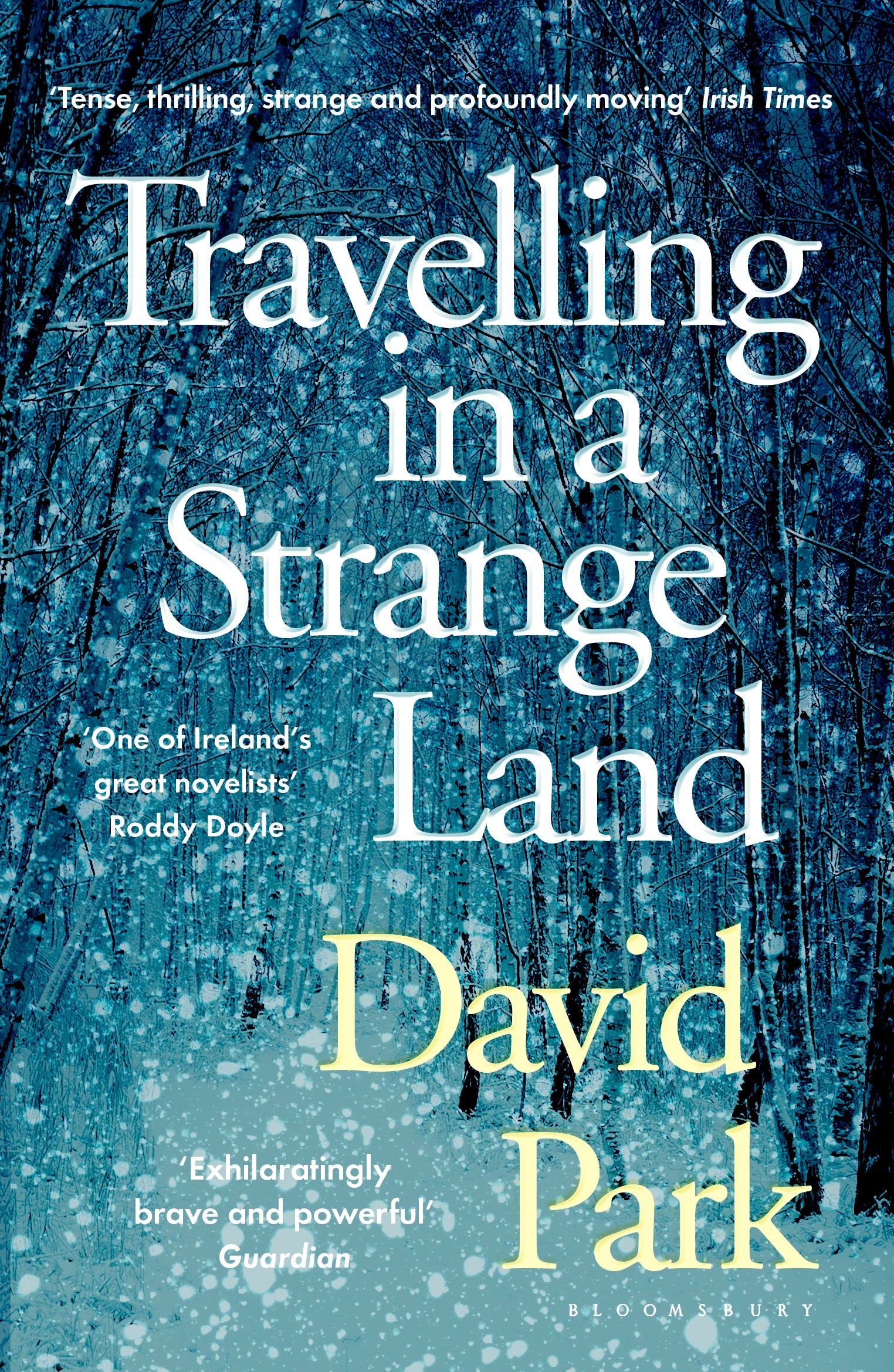Travelling in a Strange Land: Winner of the Kerry Group Irish Novel of the Year Contemporary literature