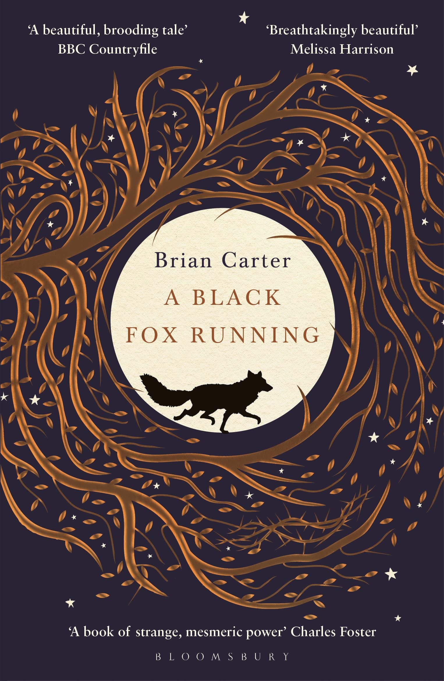 A Black Fox Running Contemporary literature