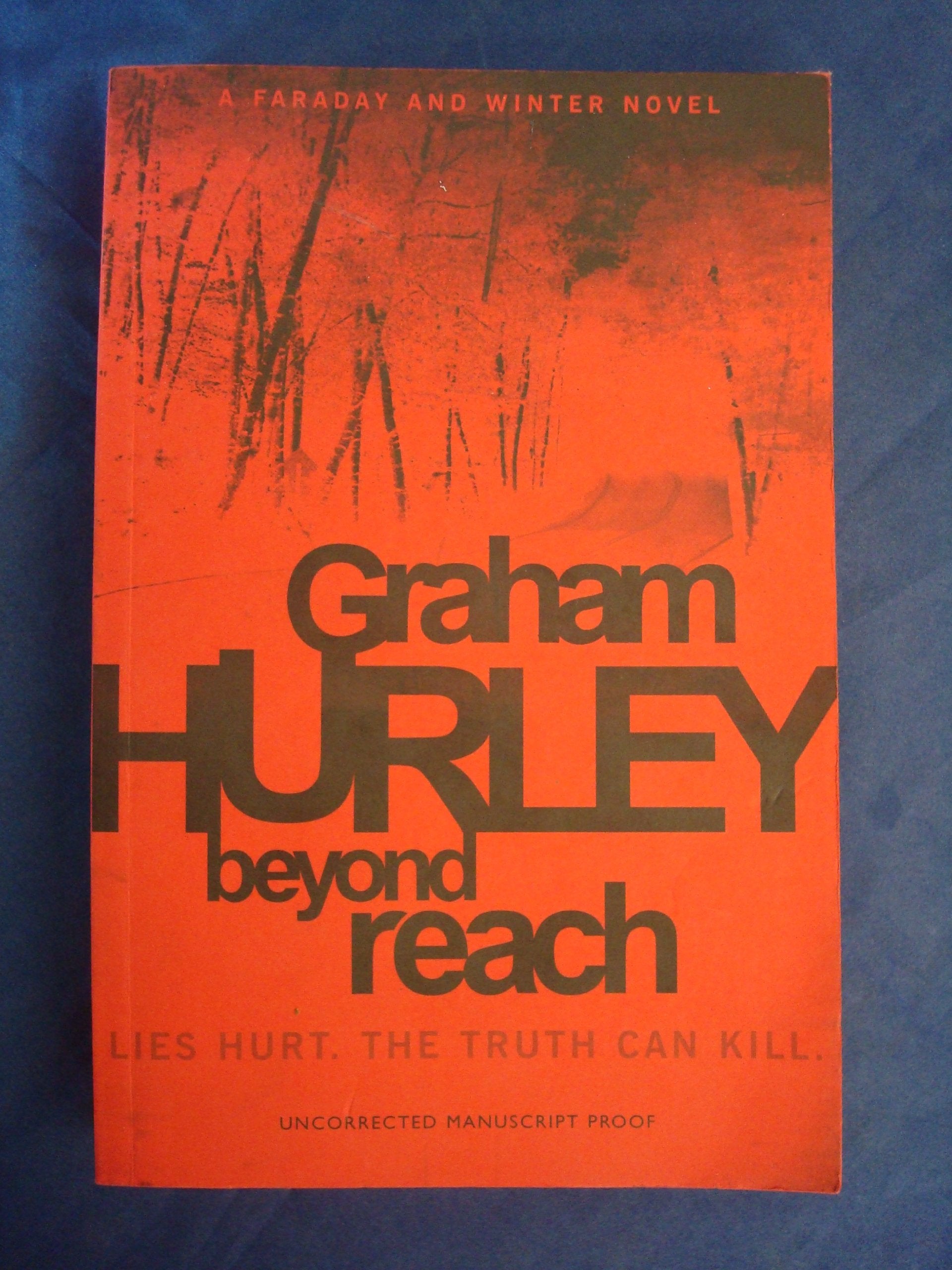 Beyond Reach (Di Joe Faraday, Band 10) Contemporary literature