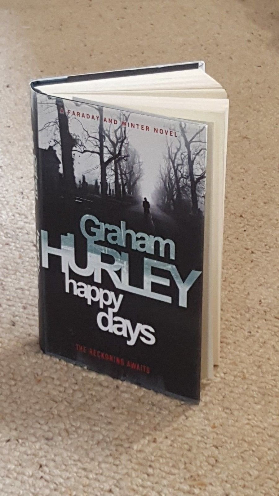 Happy Days (Faraday and Winter, Band 12) Contemporary literature