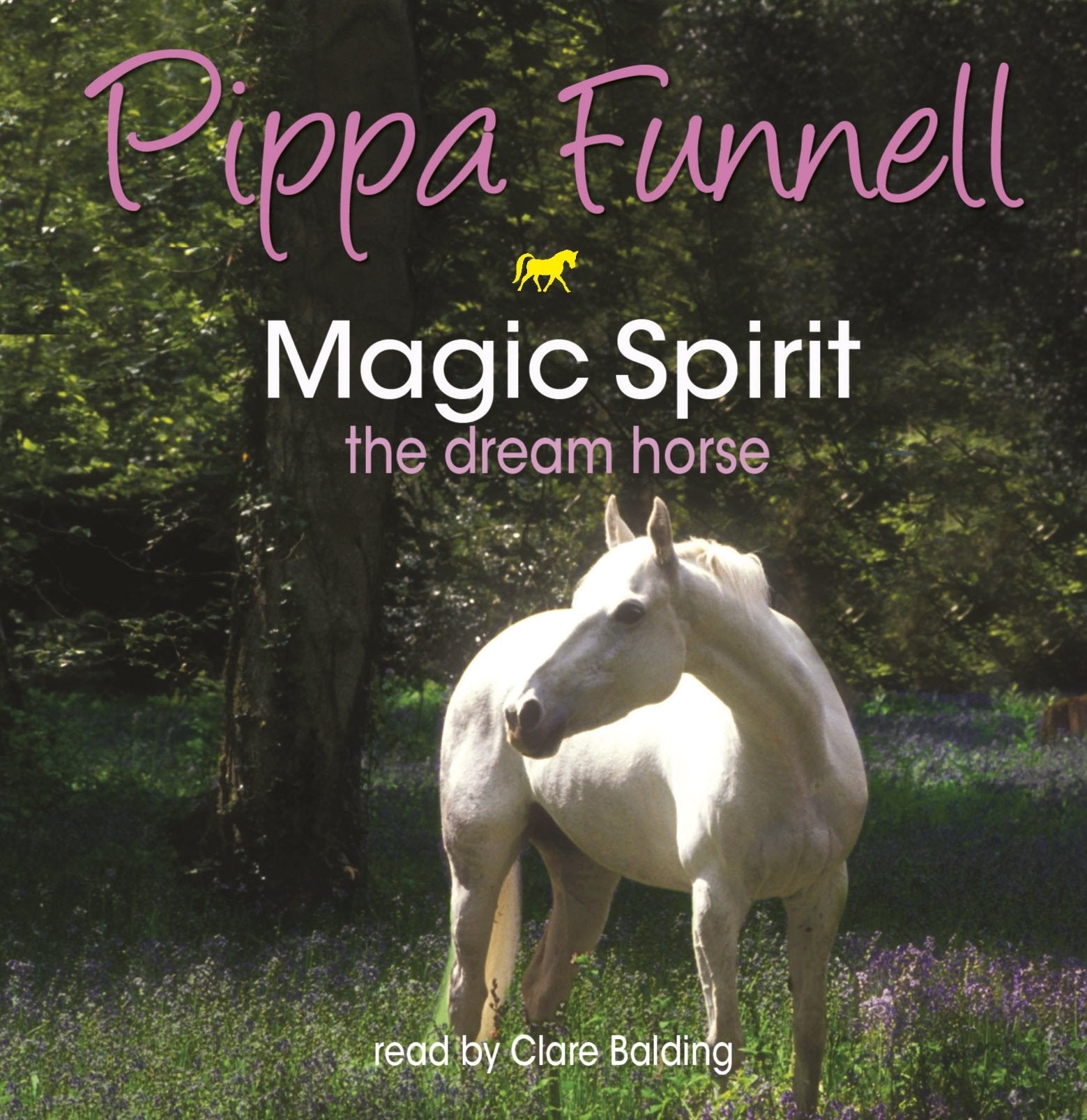 Magic Spirit: Book 1 (Tilly's Pony Tails) Novels & Short Stories