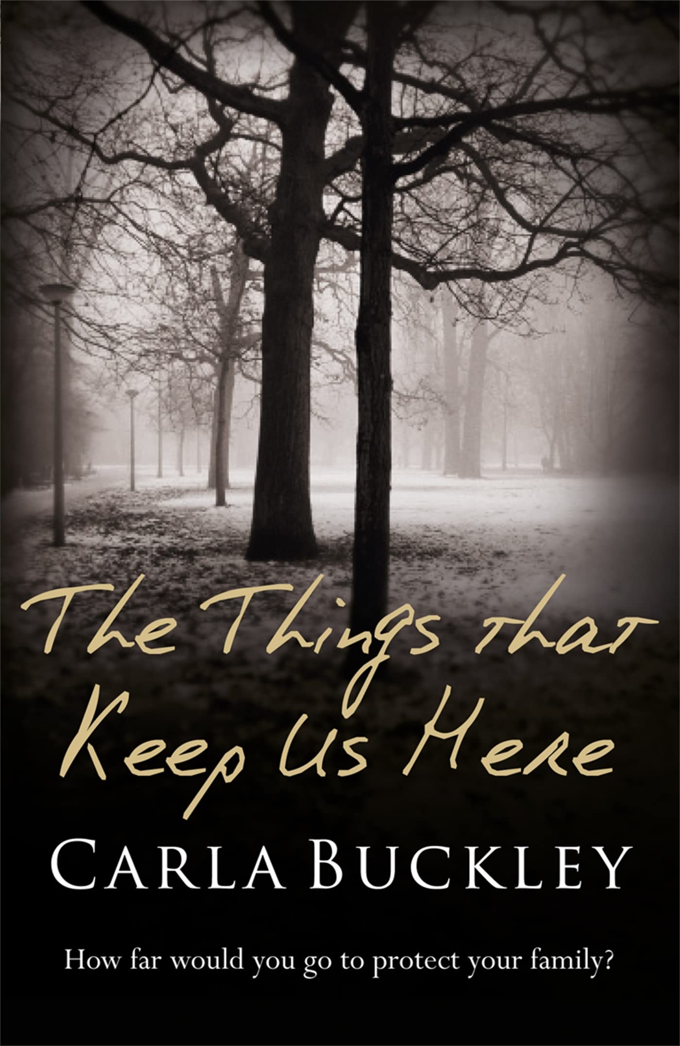 The Things That Keep Us Here: HOW DO YOU PROTECT YOUR FAMILY DURING A NATIONWIDE PANDEMIC? Contemporary literature