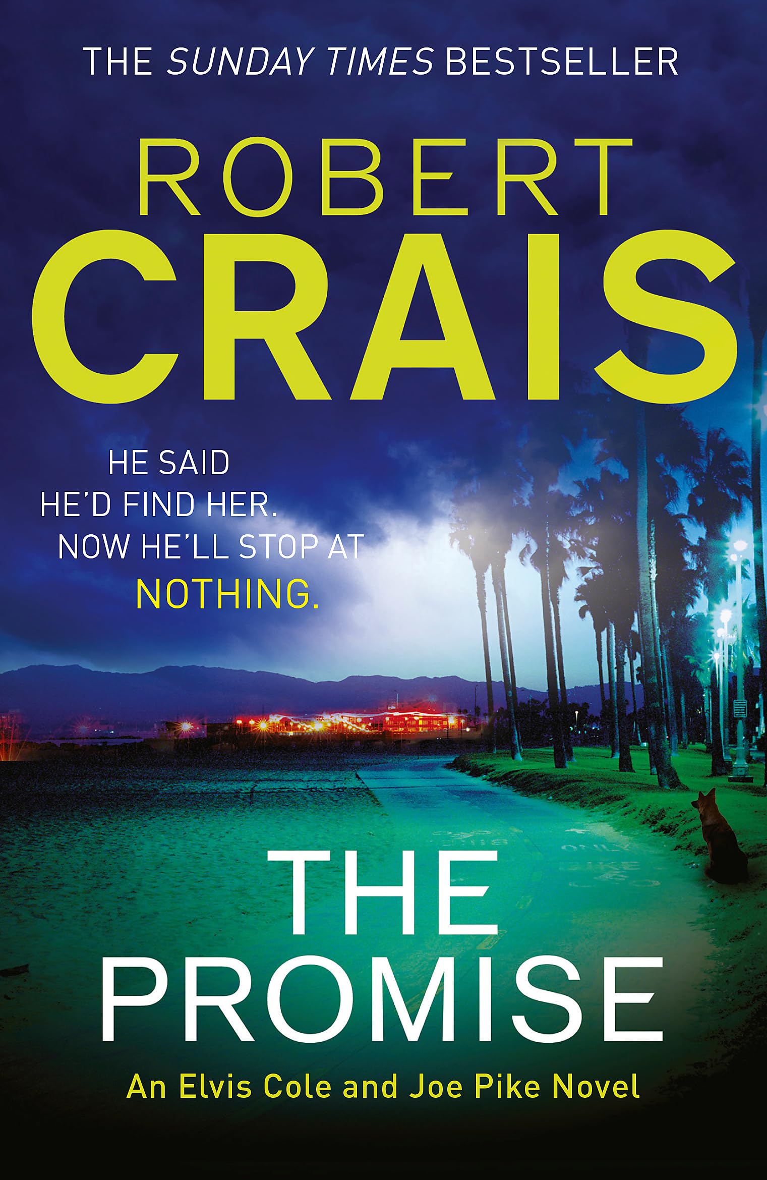The Promise: An Elvis Cole and Joe Pike Novel book