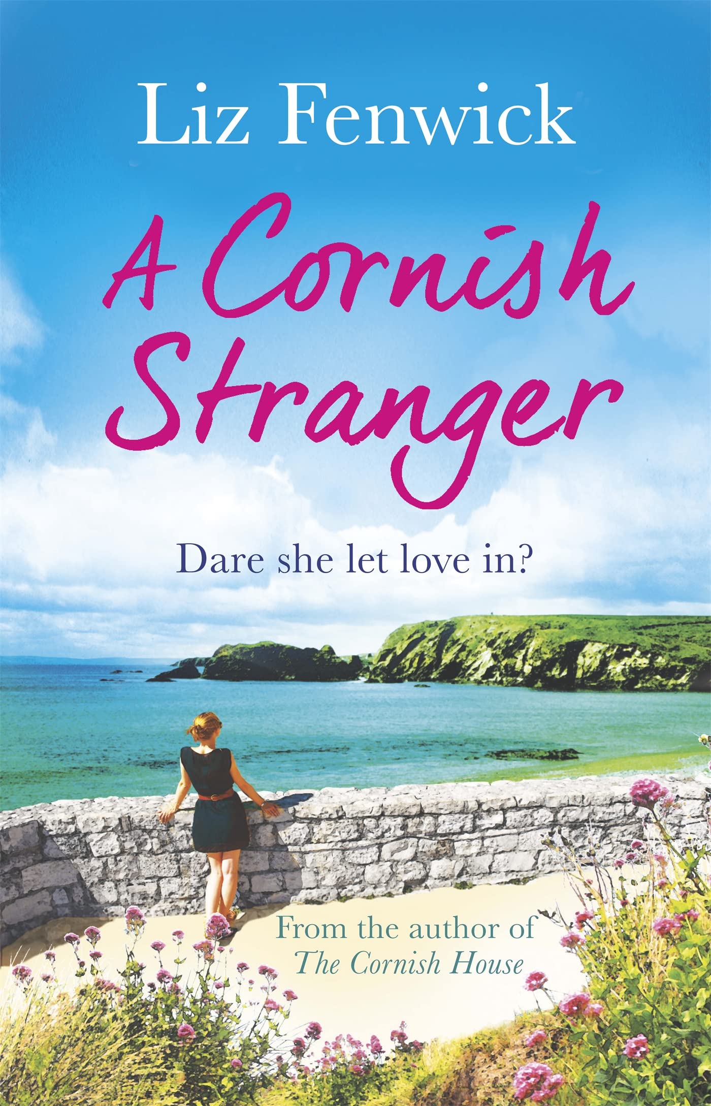A Cornish Stranger Contemporary literature Books