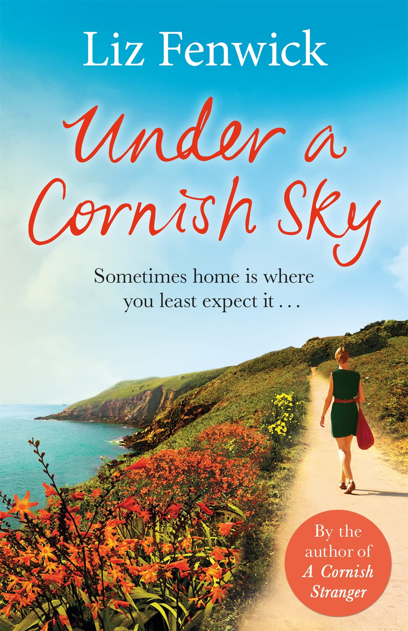 Under a Cornish Sky Contemporary literature Books
