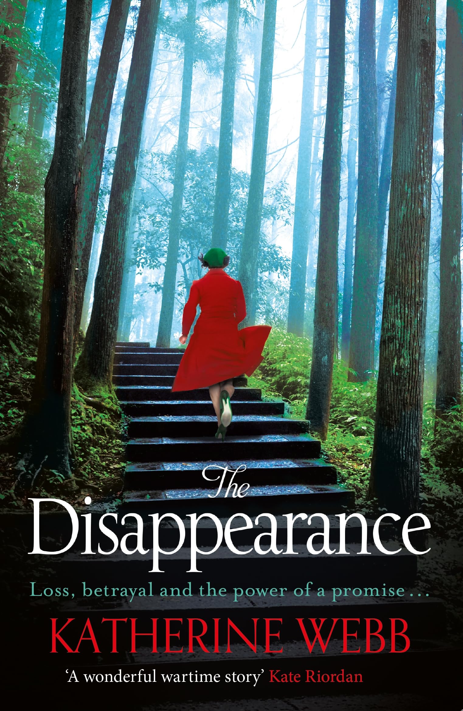 The Disappearance Contemporary literature Books
