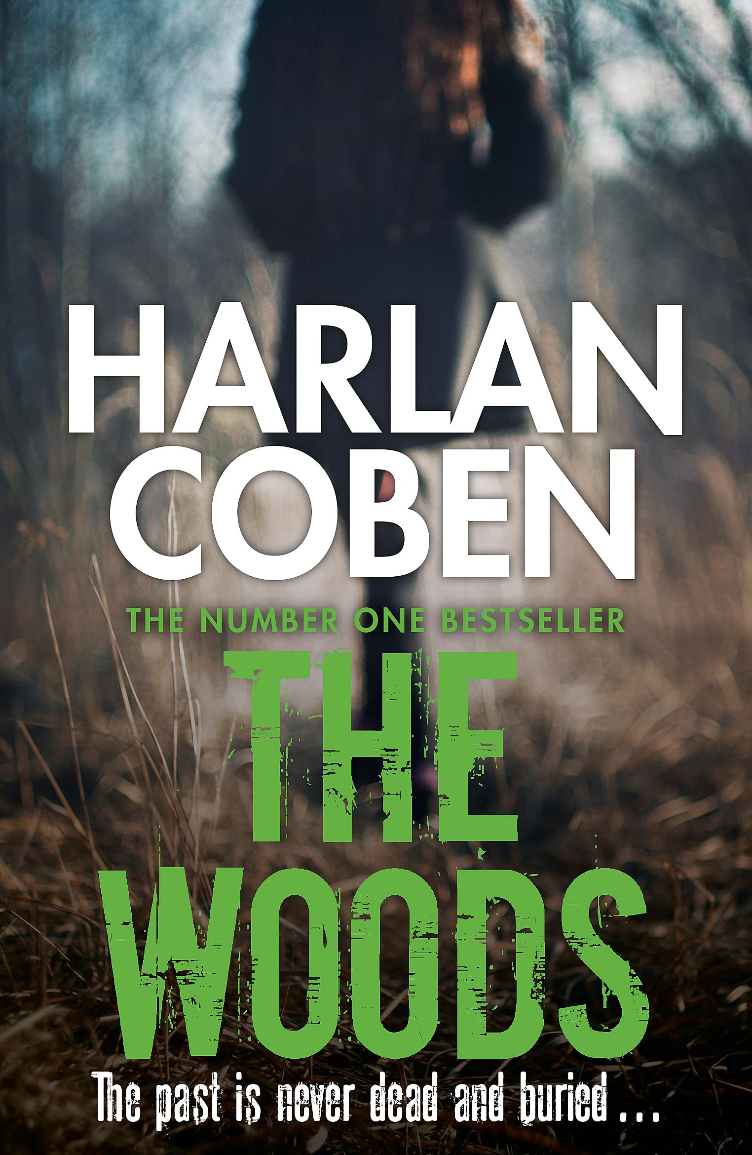 Product Image: The Woods