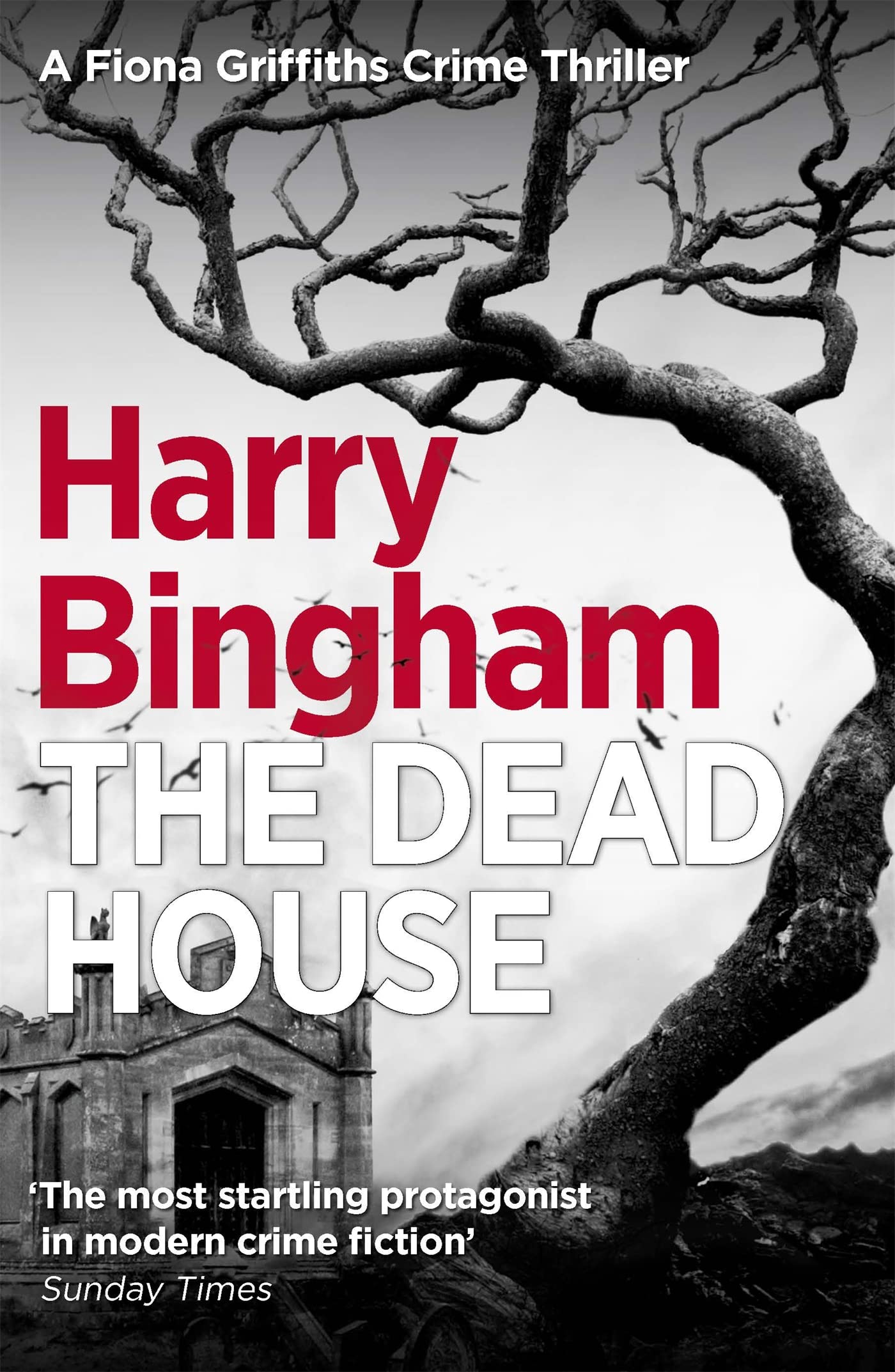 The Dead House: A chilling British detective crime thriller Contemporary literature