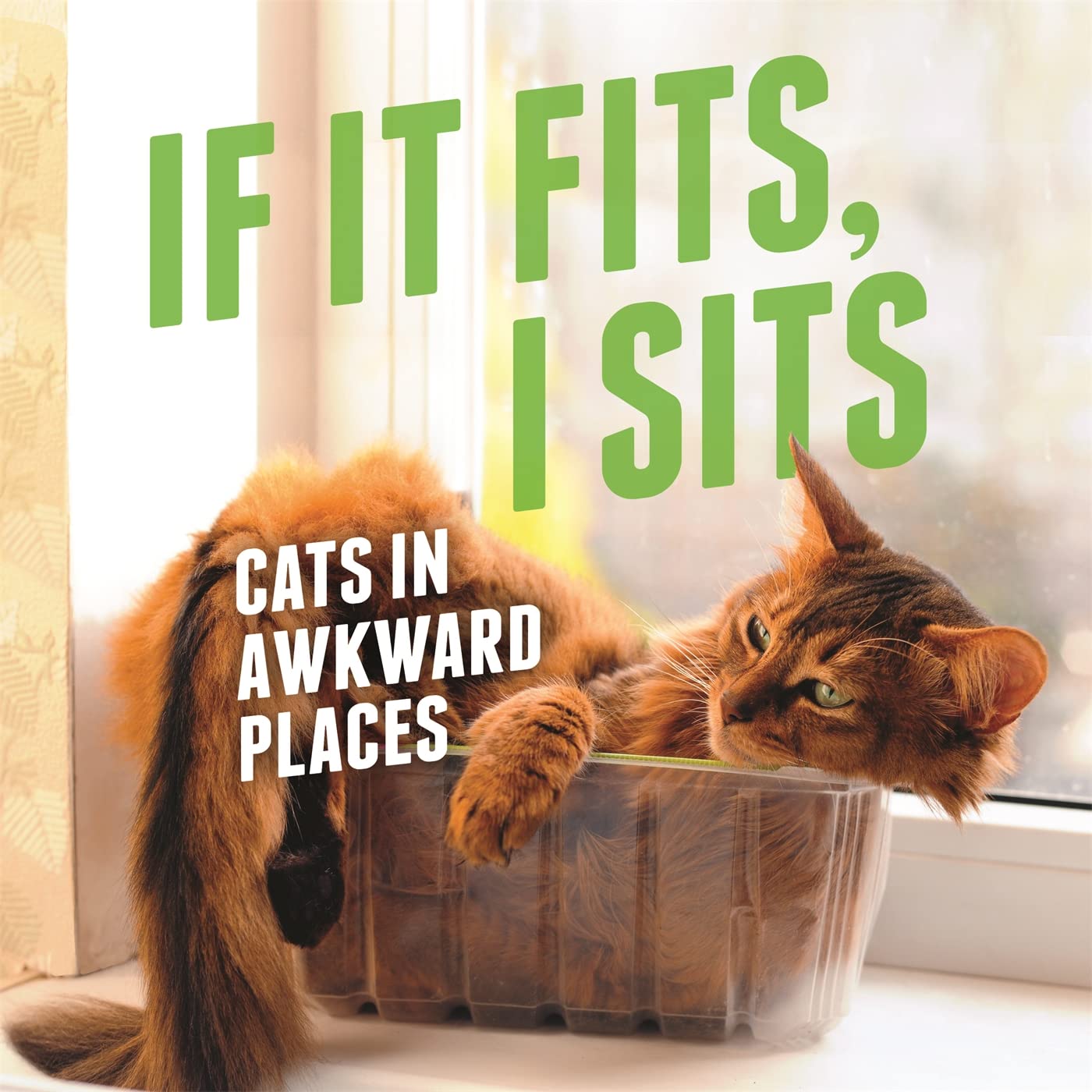 If It Fits, I Sits: Cats in Awkward Places Pets