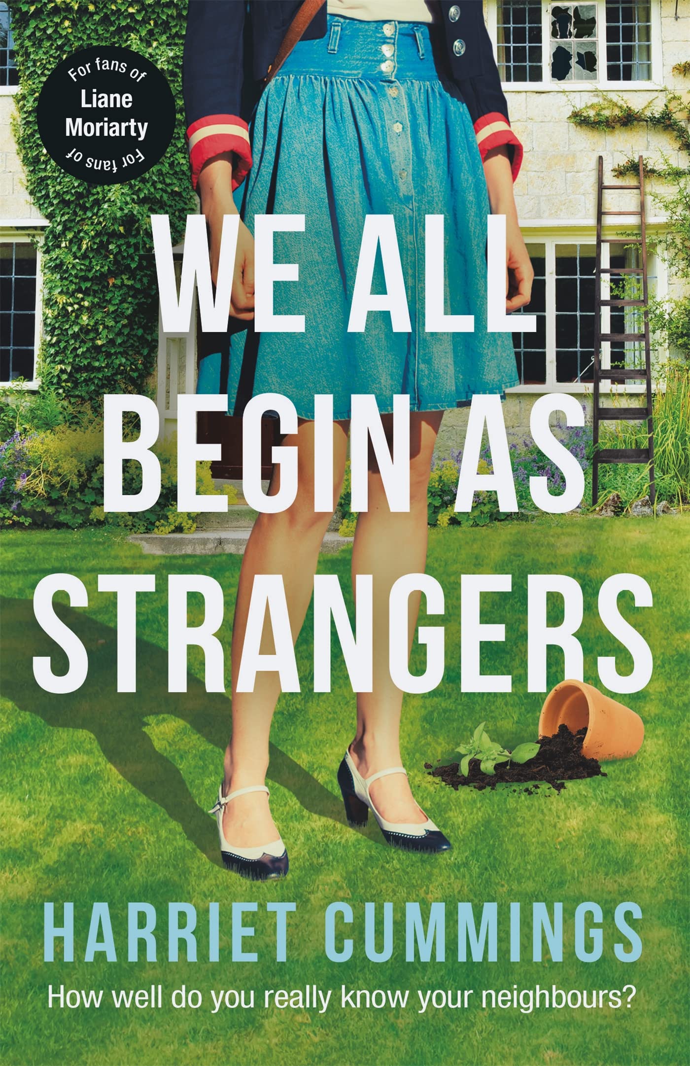 We All Begin As Strangers: A gripping novel about dark secrets in an English village Contemporary literature