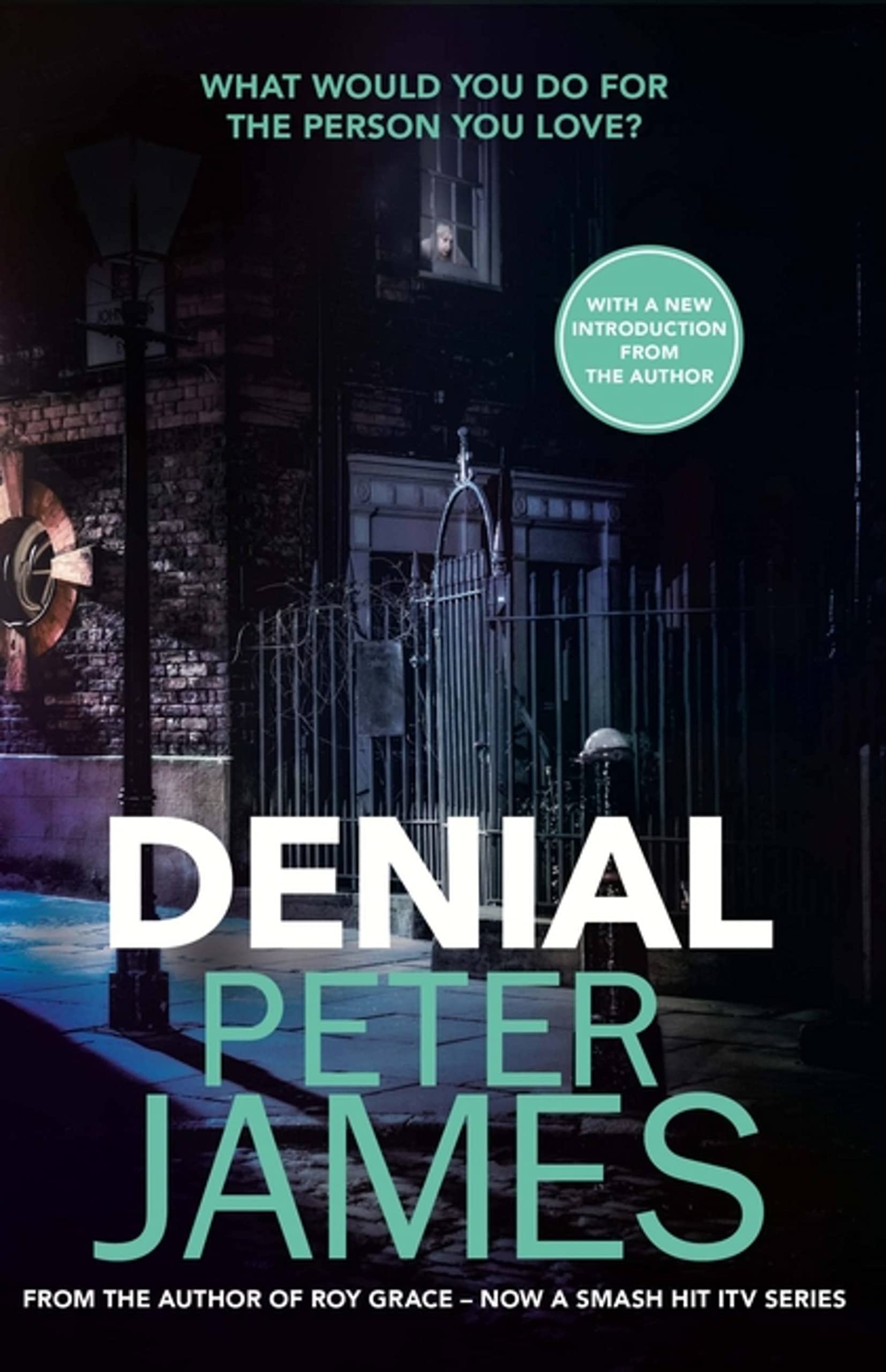 Denial: A gripping thriller filled with twists and turns Contemporary literature