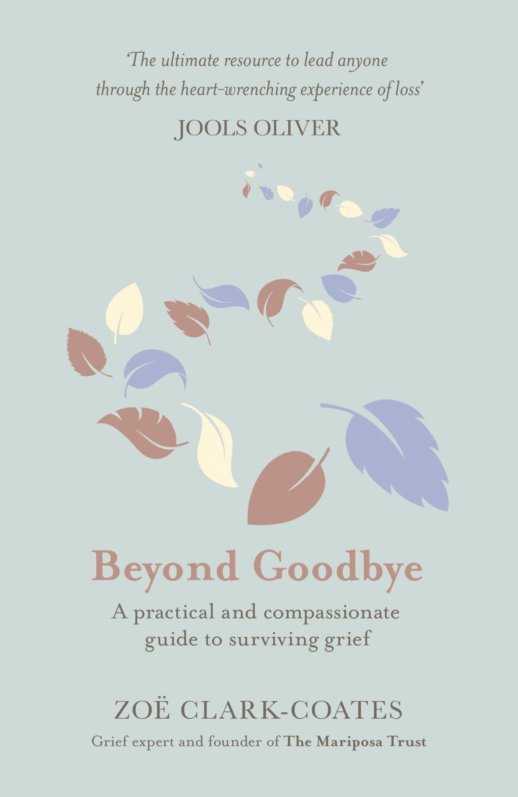 Beyond Goodbye: A practical and compassionate guide to surviving grief, with day-by-day resources to navigate a path through loss Medicine